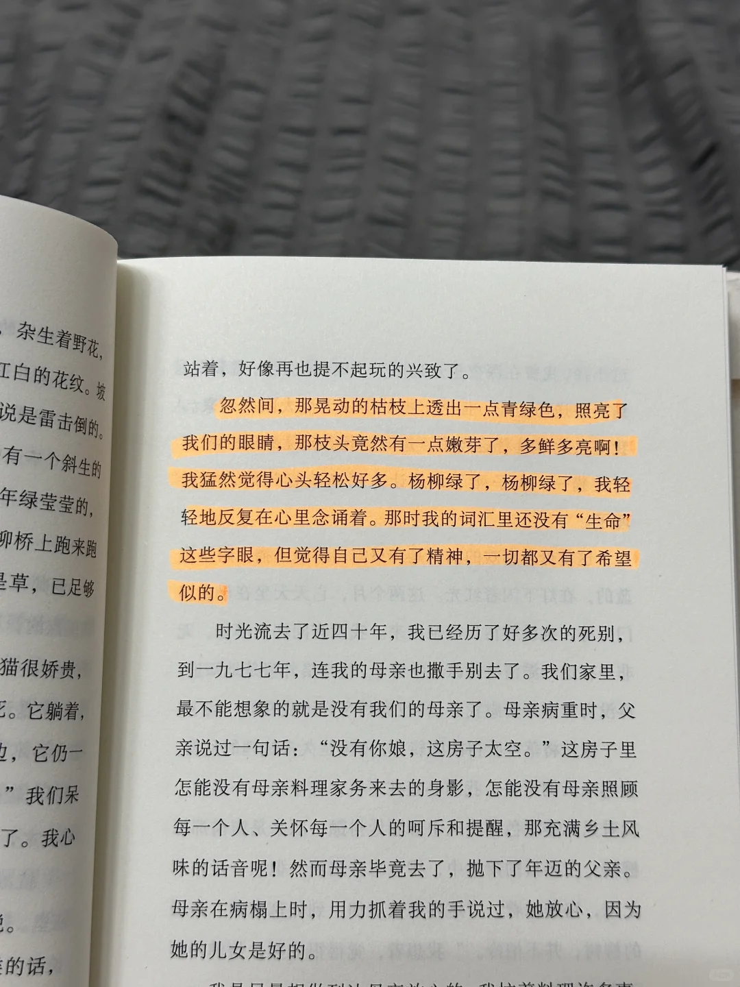 推荐一本新书（读完泪目的那种😭😭）