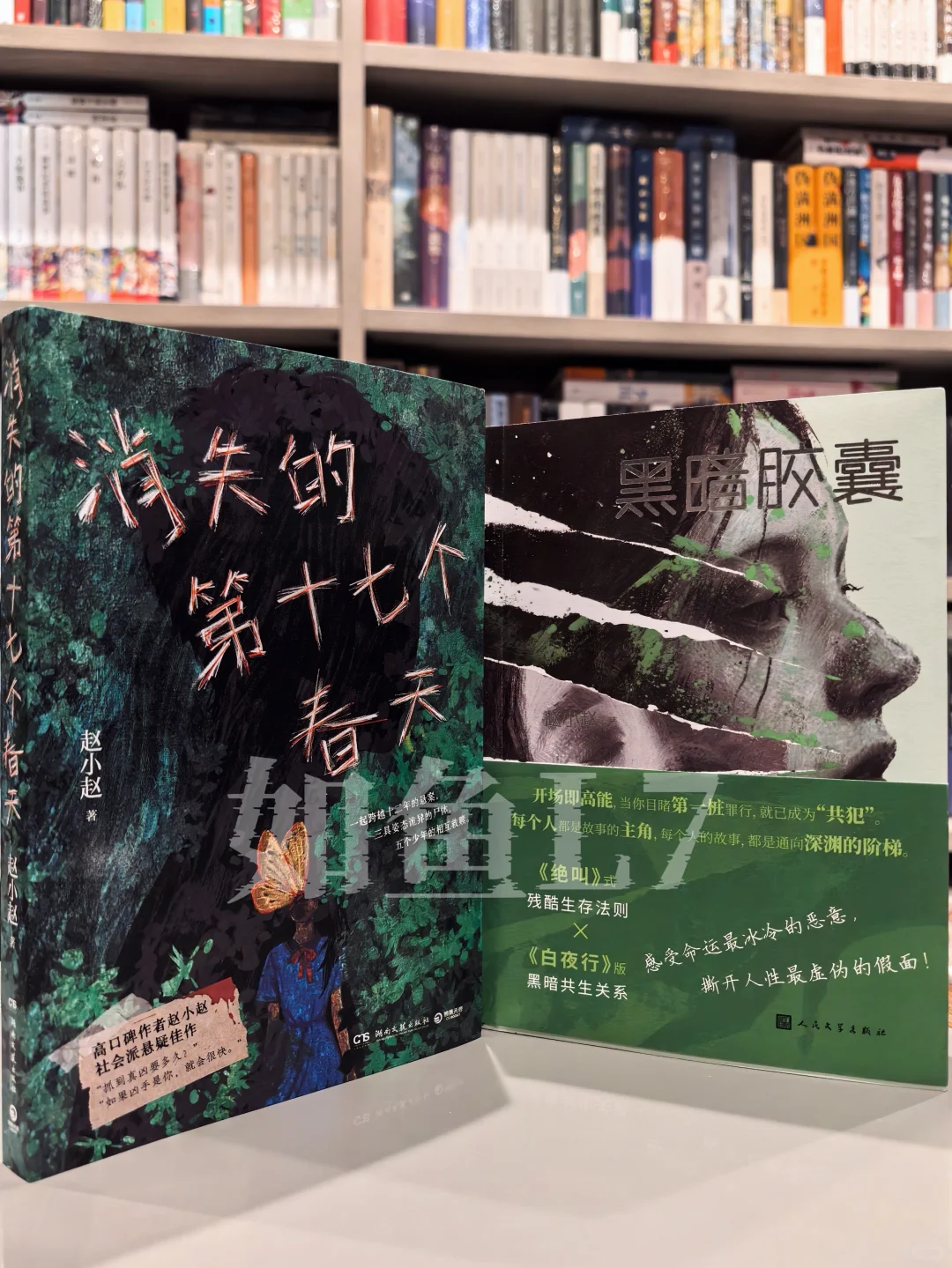 2025年8~9月鱼叔新购国产悬疑新书11册