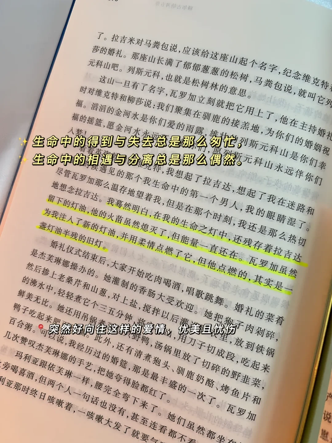 迟子建！这书把山林史诗写成会呼吸的月光！