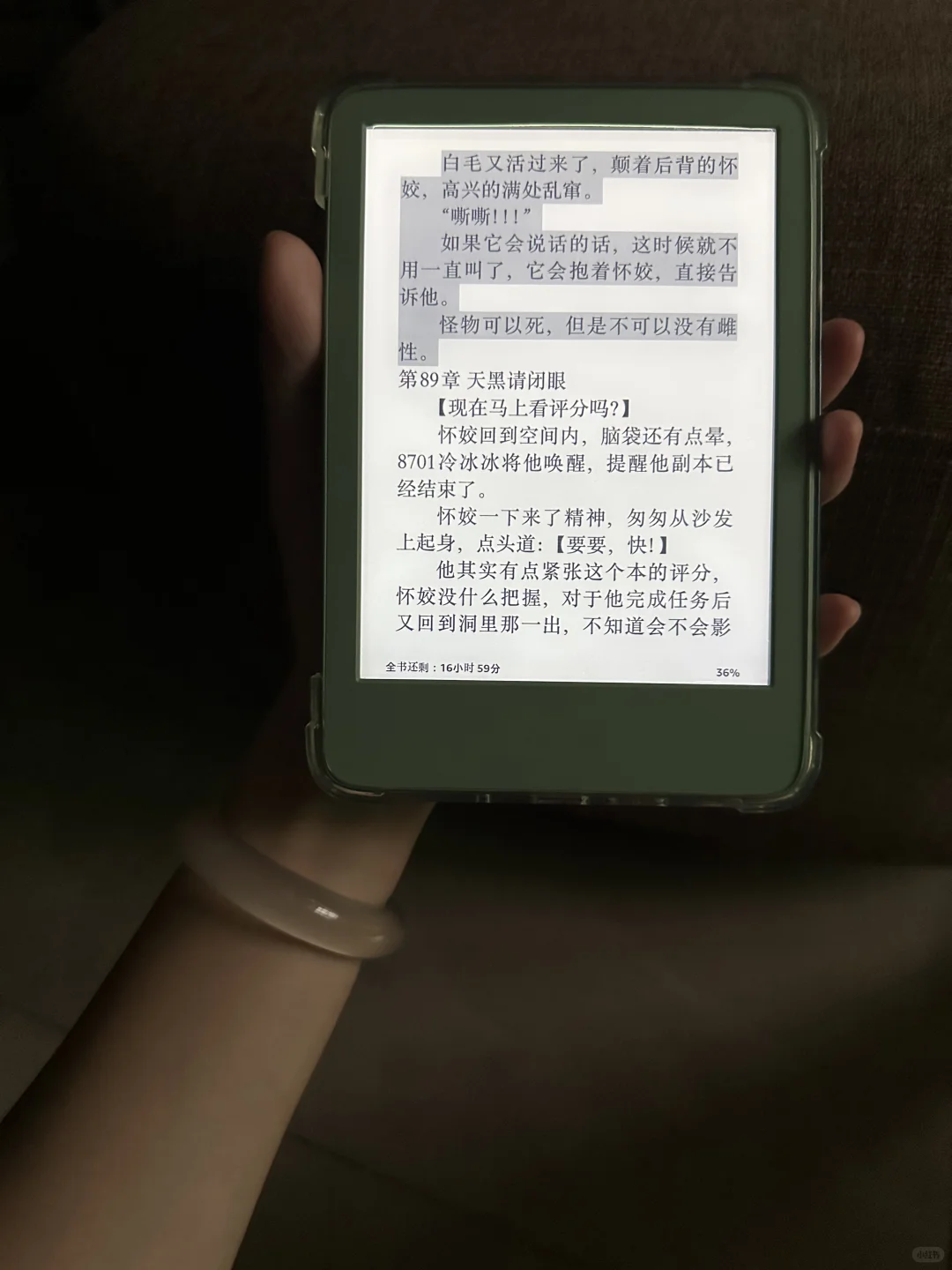 谁来收了我的kindle小绿