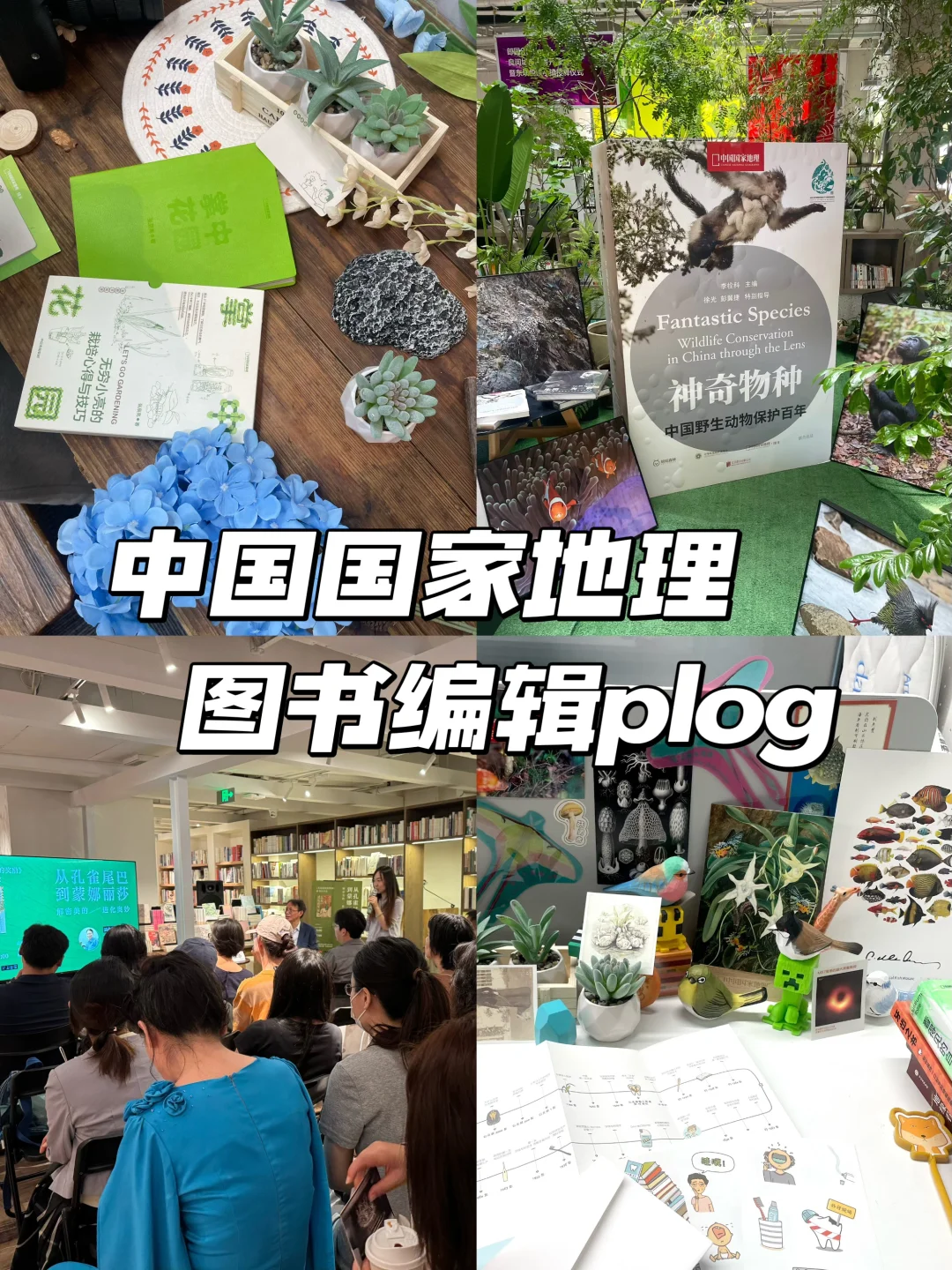 编辑部日常 | 忙碌中进入放假倒计时⏱