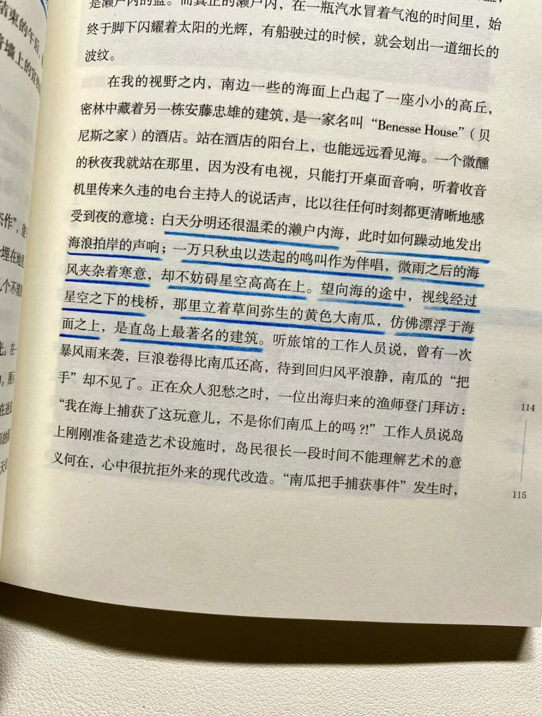 “自由也许是我不想拥有海，我想成为海”