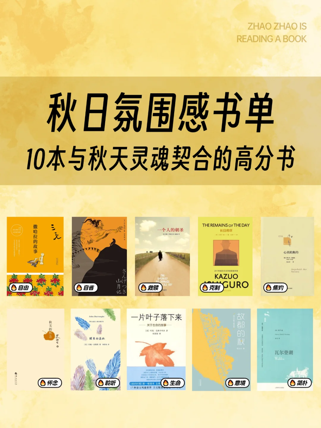 这份秋日氛围感书单，配得上秋天的深度🍁