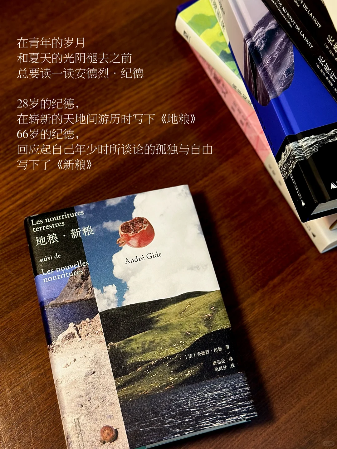 初秋书单｜阅读把我按进生活里。