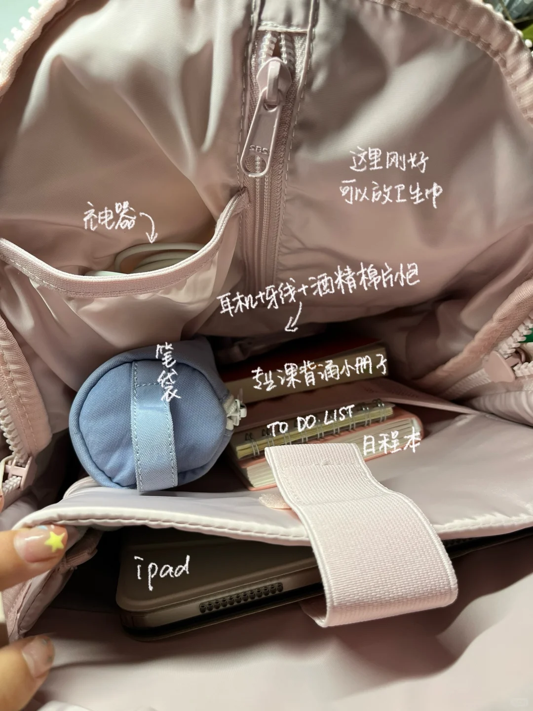 低精力老鼠考研人非正经翻包
