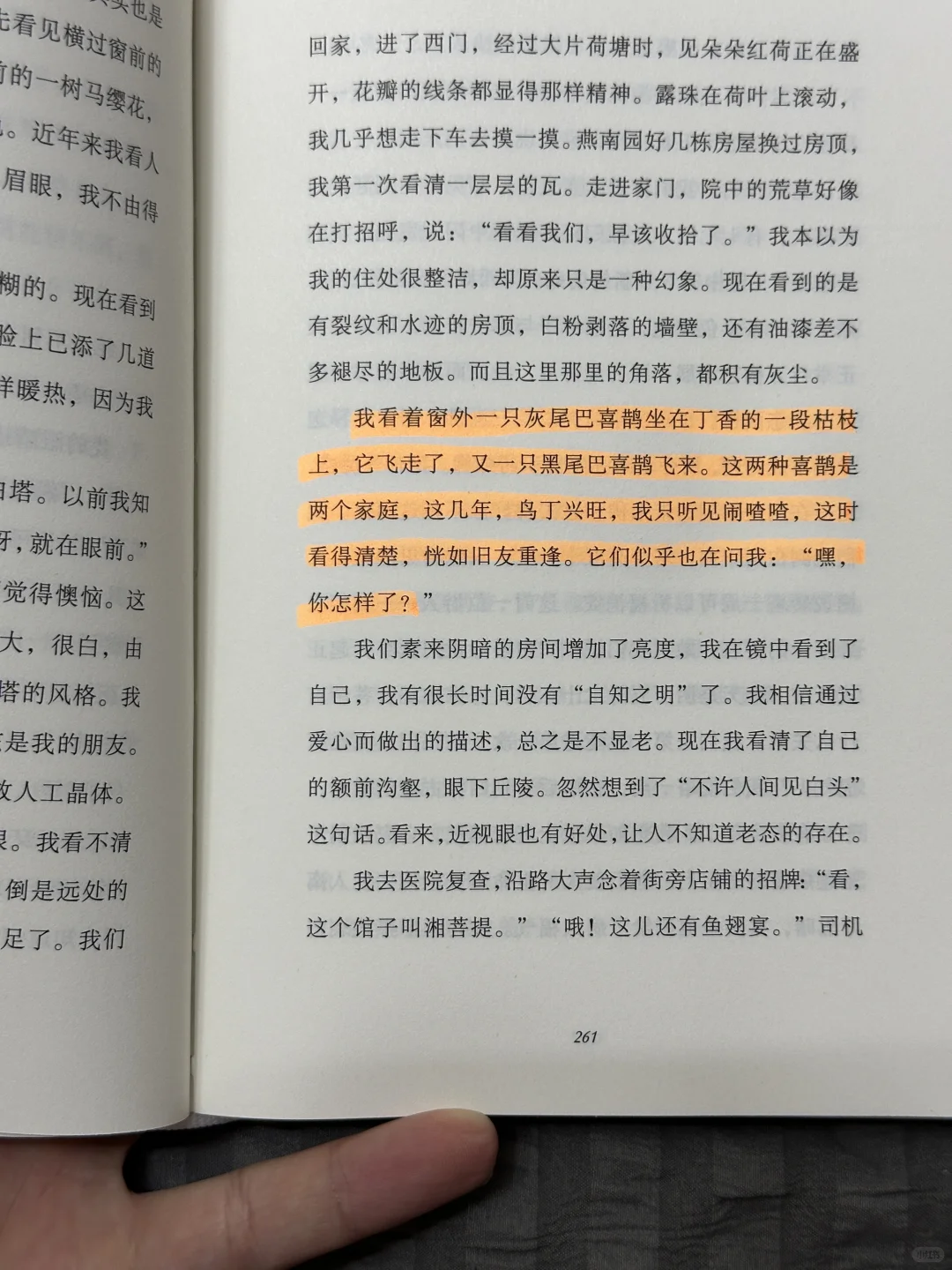 推荐一本新书（读完泪目的那种😭😭）