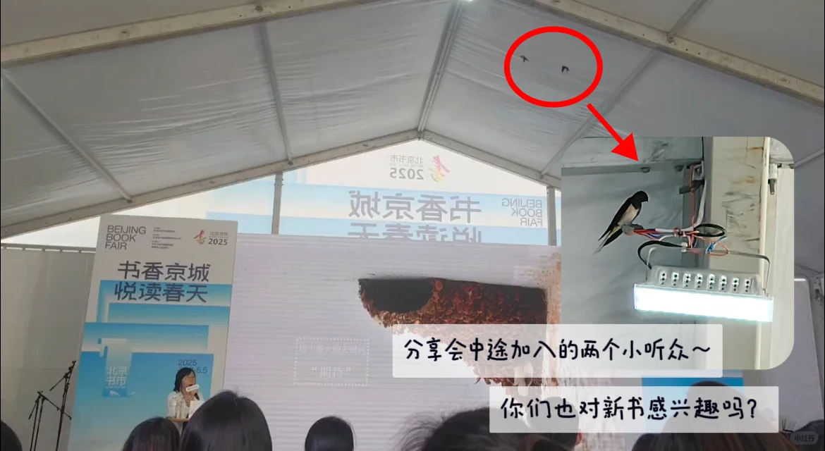 编辑部日常 | 忙碌中进入放假倒计时⏱