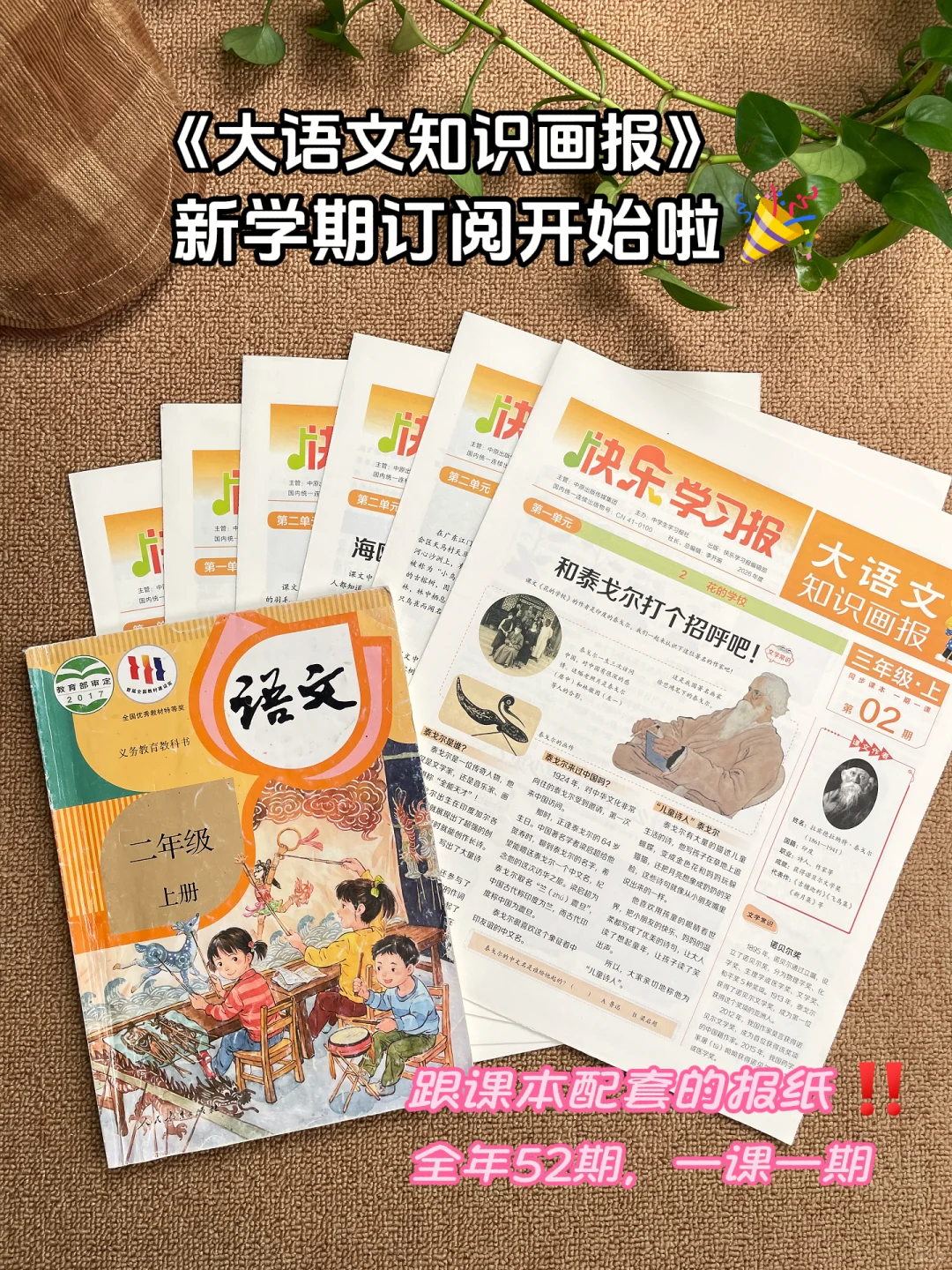大语文知识画报，语文学习神器📖