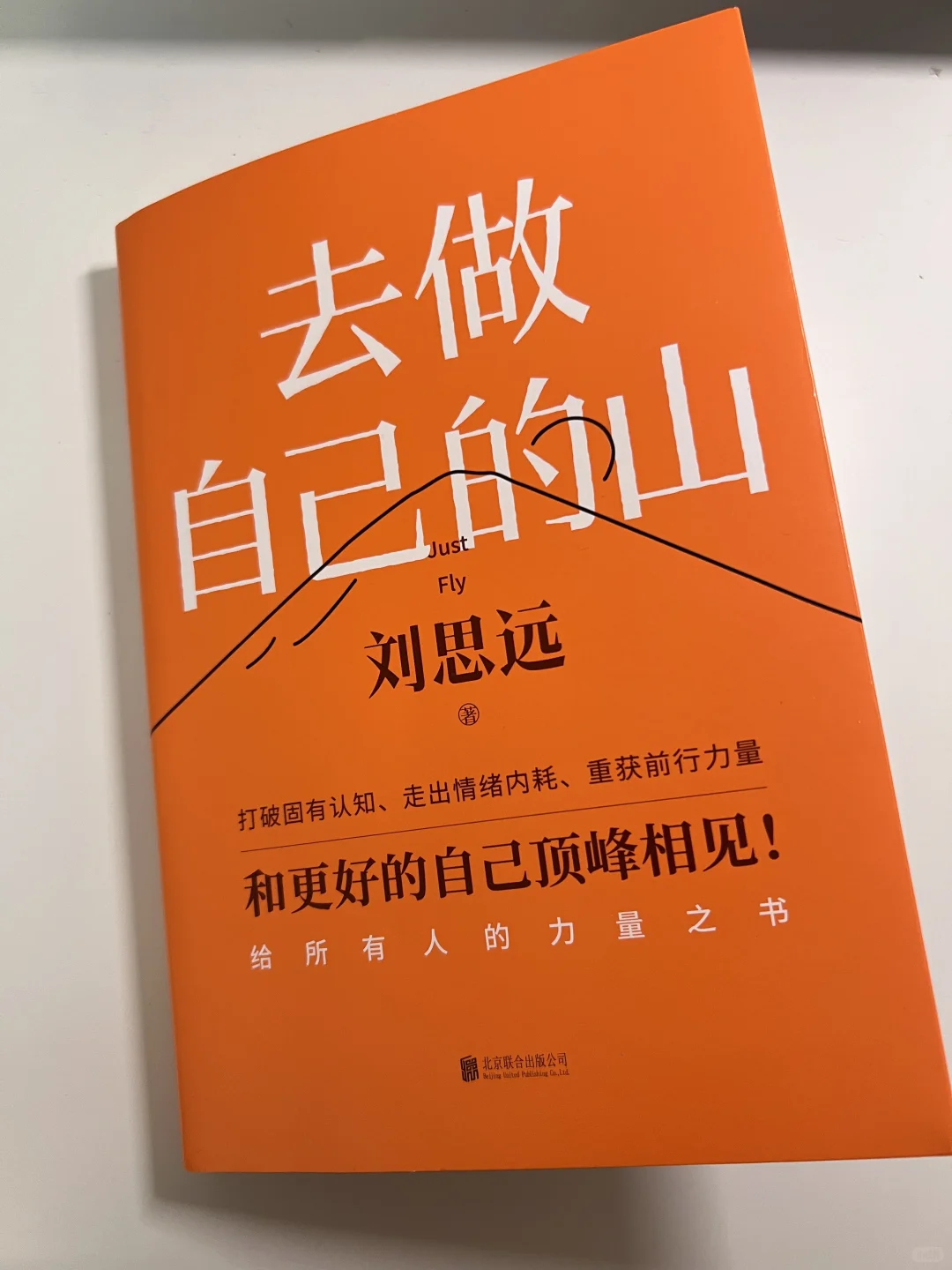 今日阅读📖｜去做自己的山⛰️