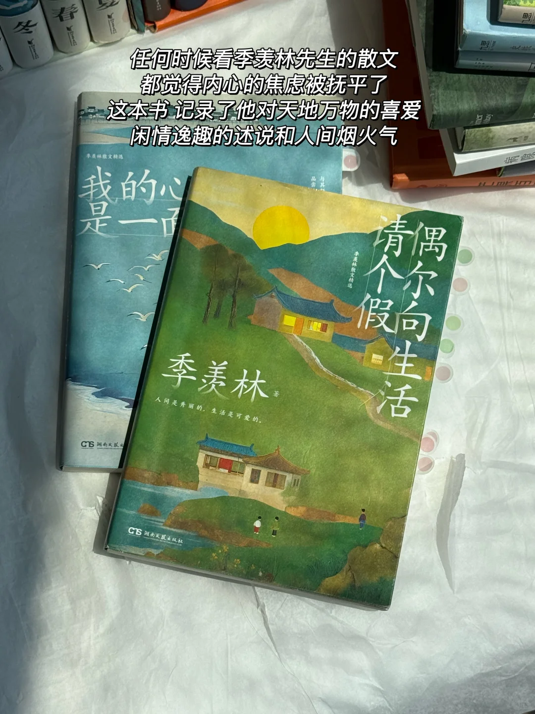死磕这几本书，文笔可以脱胎换骨！🍠双11