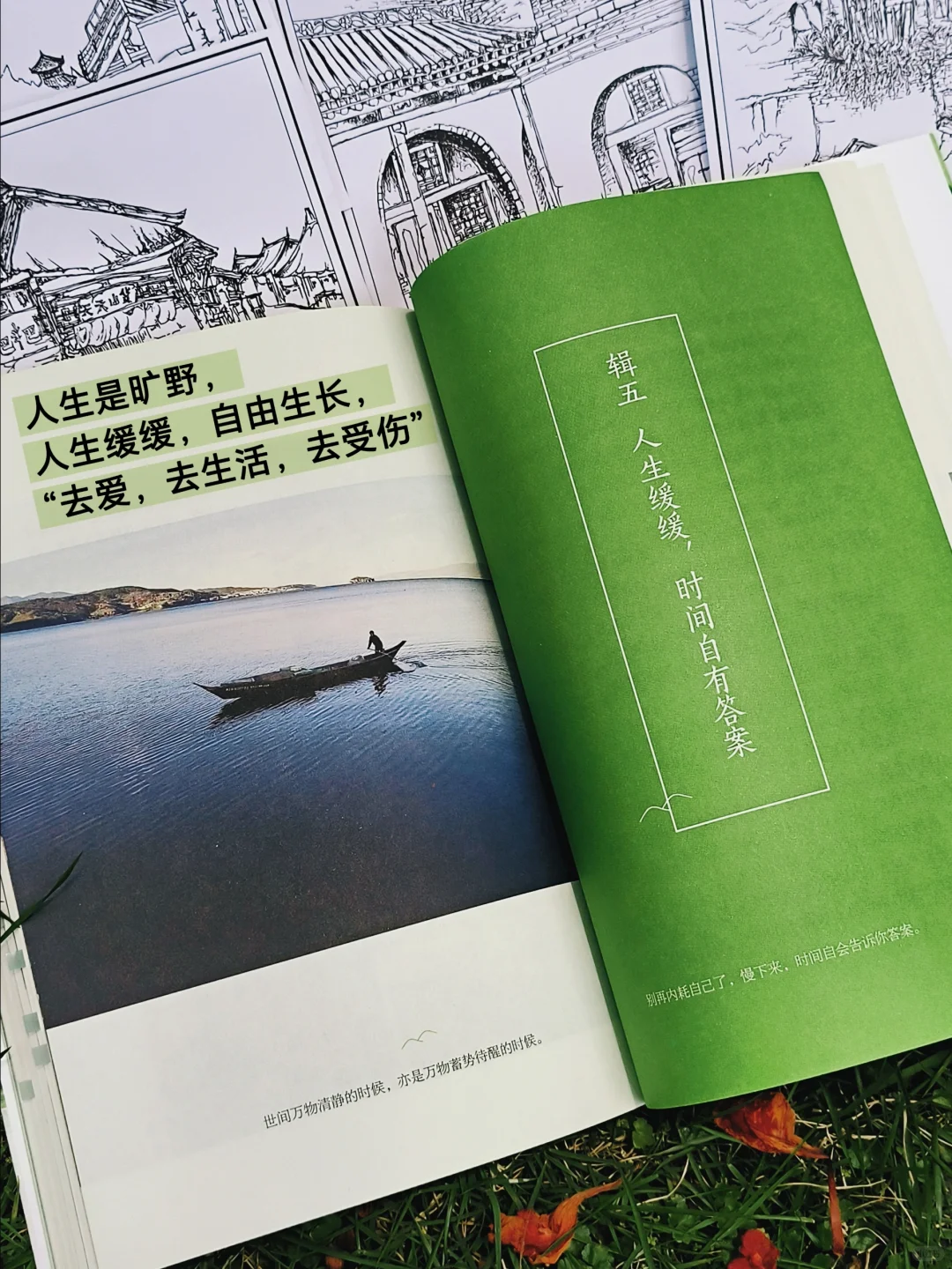 人生是旷野，“去爱，去生活，去受伤”