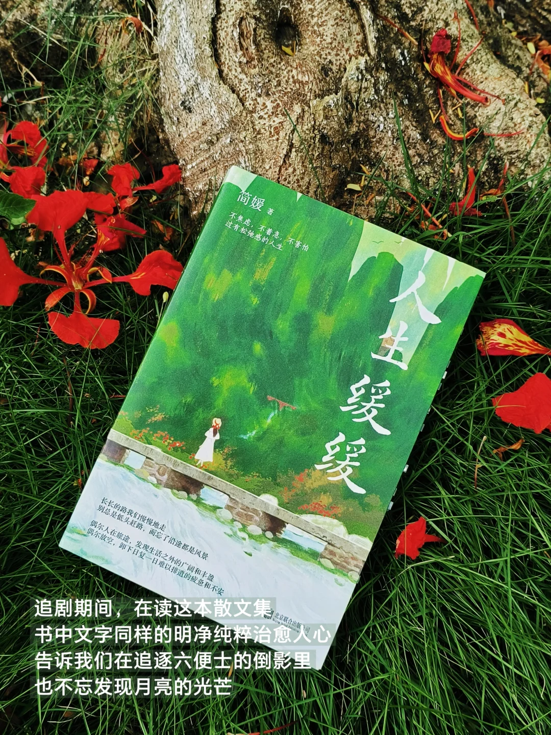 人生是旷野，“去爱，去生活，去受伤”