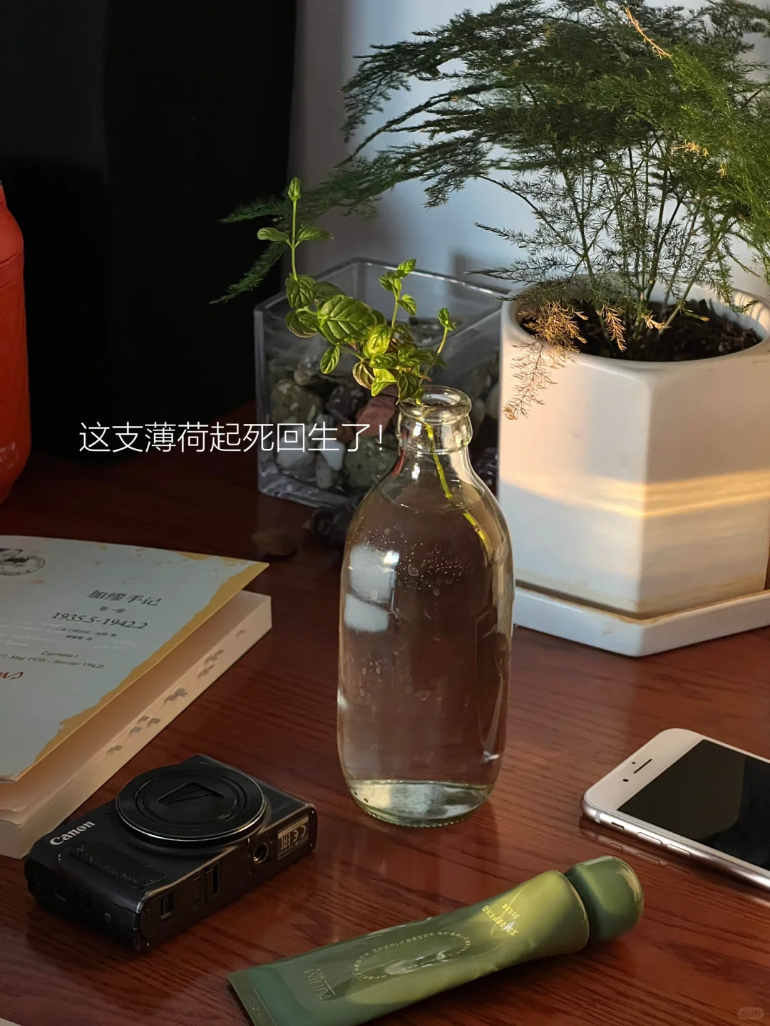 早起读书的幸福感