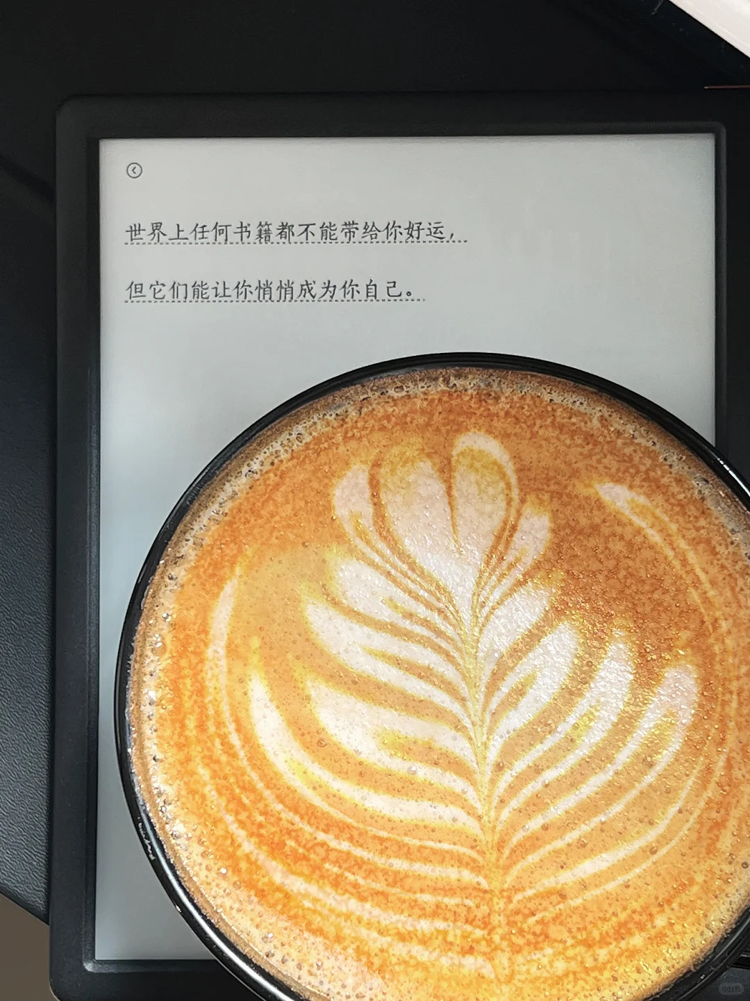 持续阅读，向内生长，做一个情绪稳定的淡人。