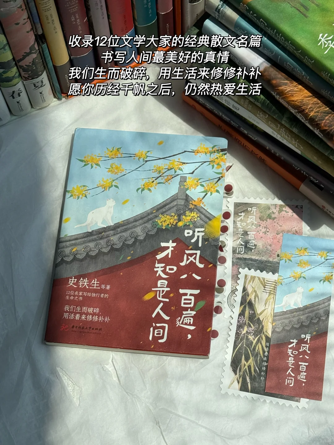 死磕这几本书，文笔可以脱胎换骨！🍠双11