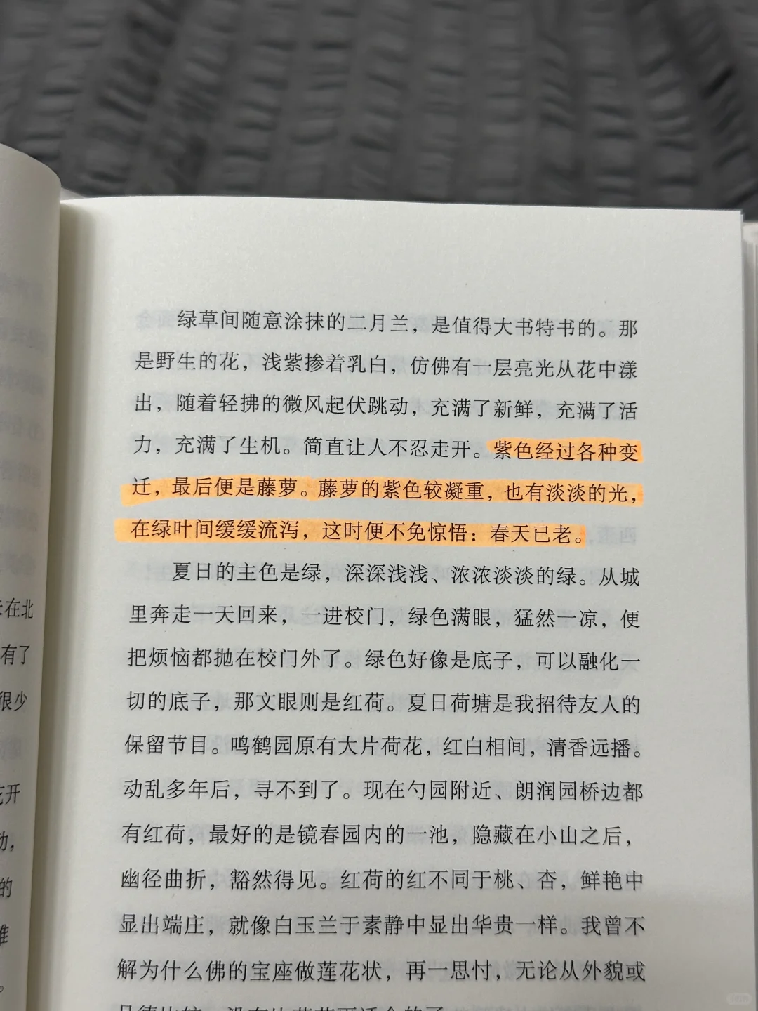 推荐一本新书（读完泪目的那种😭😭）