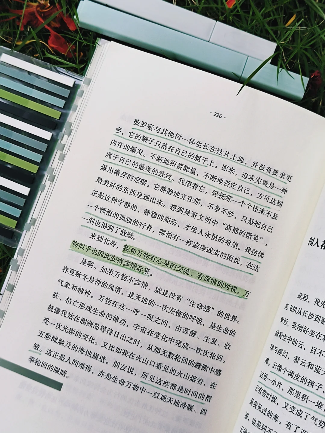 人生是旷野，“去爱，去生活，去受伤”