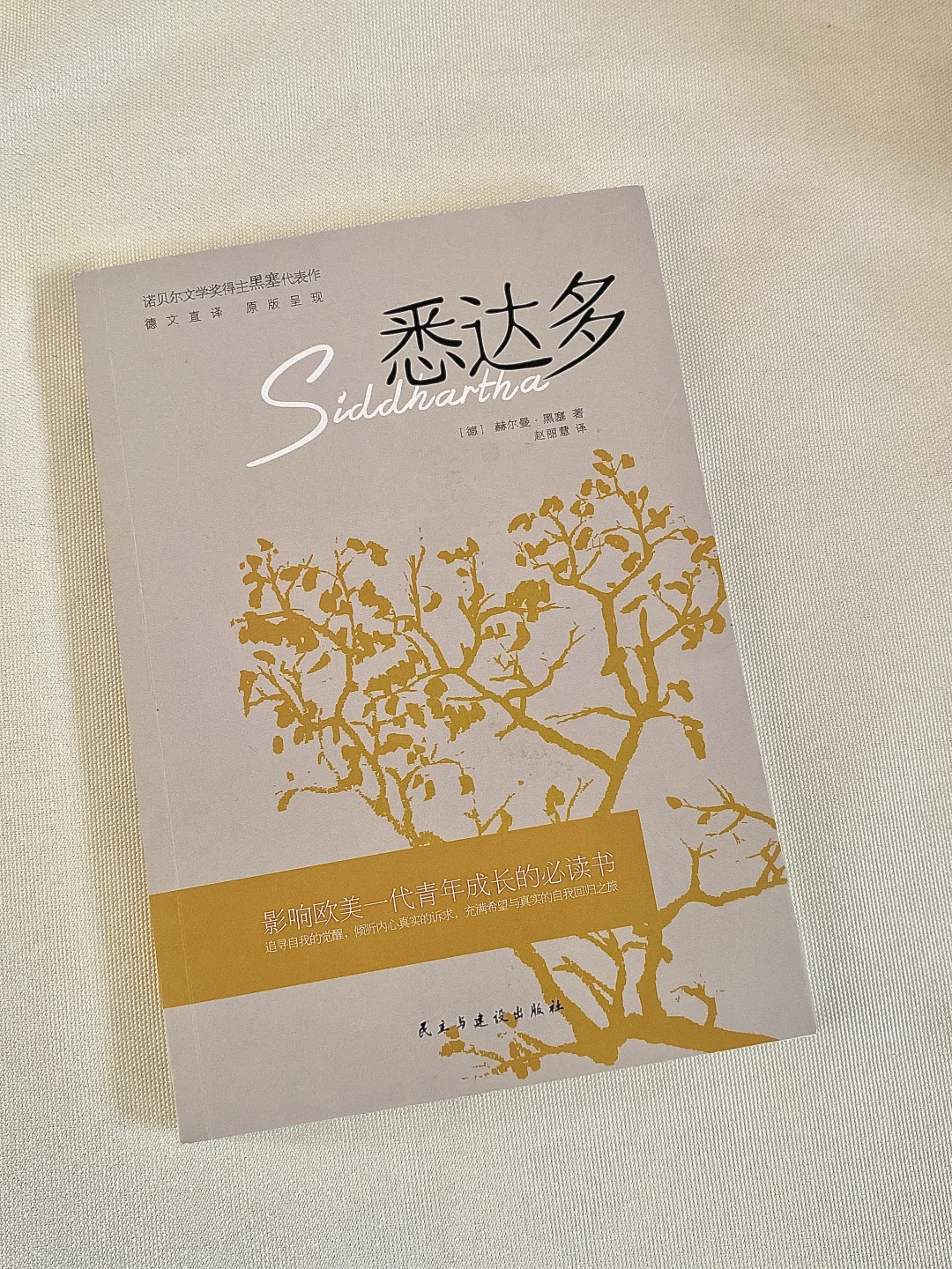我的解压方式：阅读 散步 晒太阳