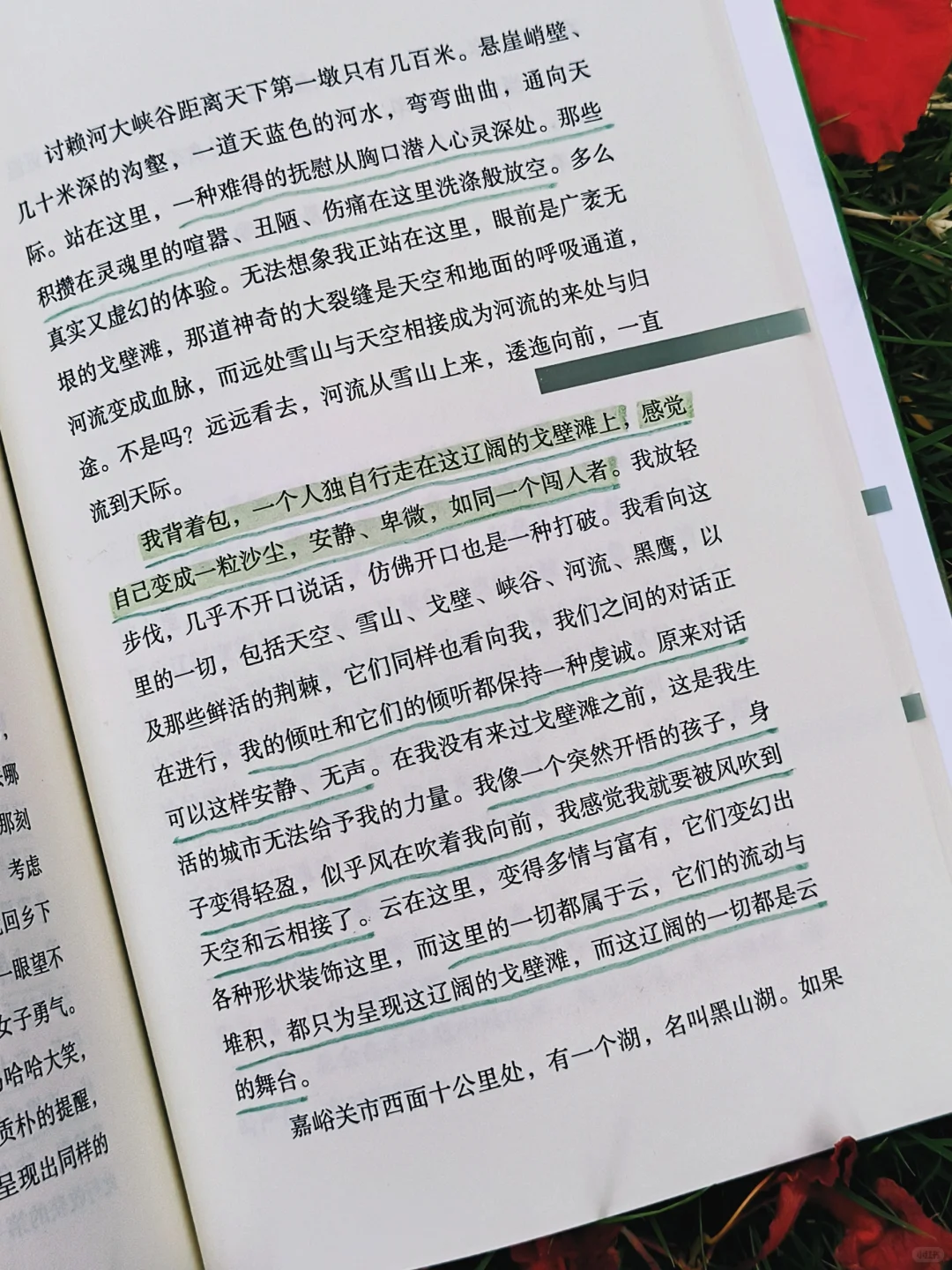 人生是旷野，“去爱，去生活，去受伤”