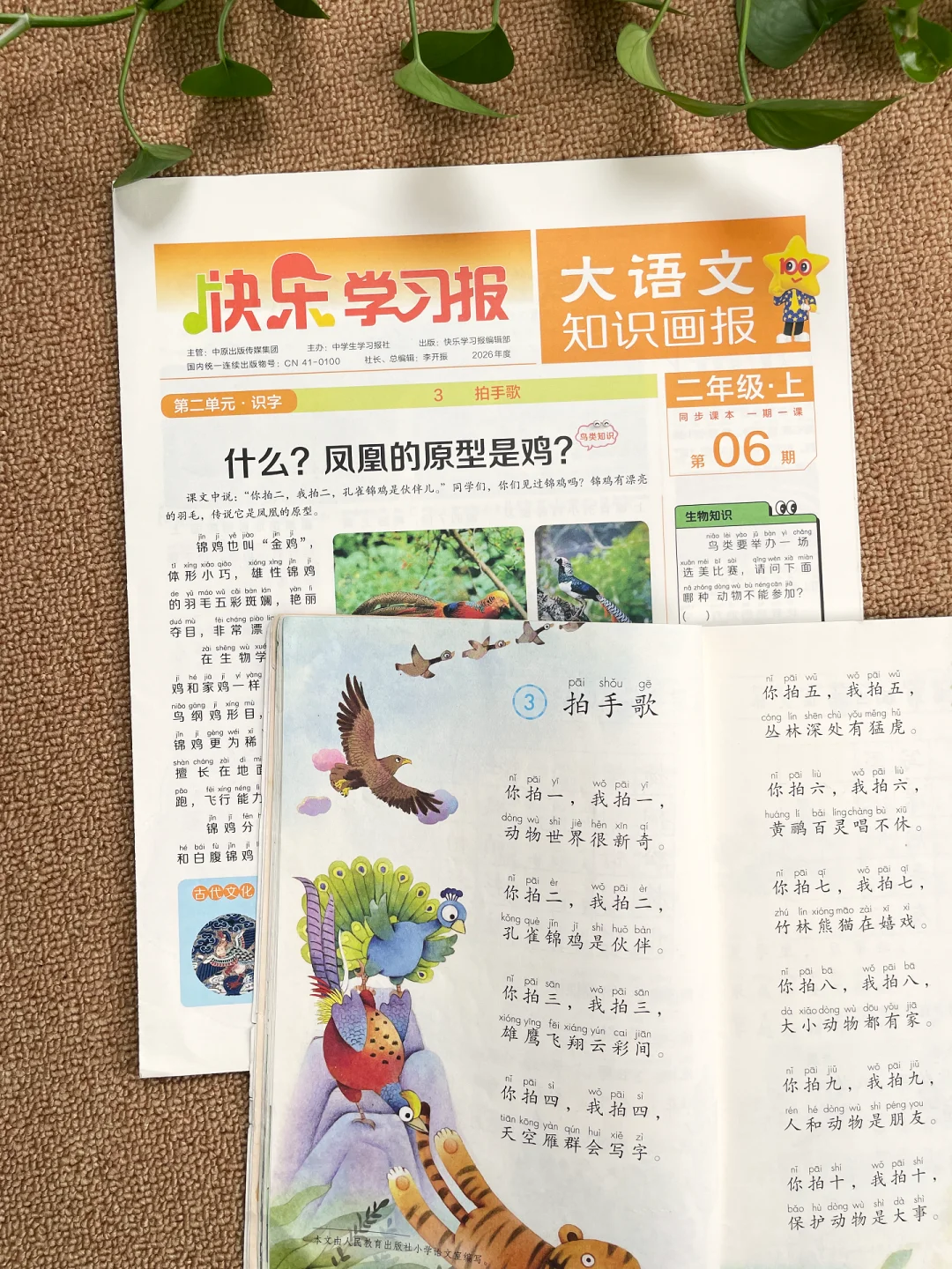 大语文知识画报，语文学习神器📖