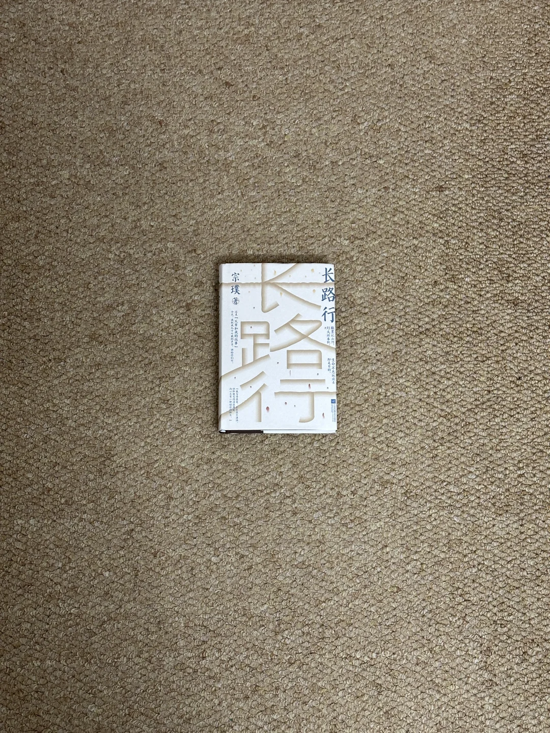 推荐一本新书（读完泪目的那种😭😭）