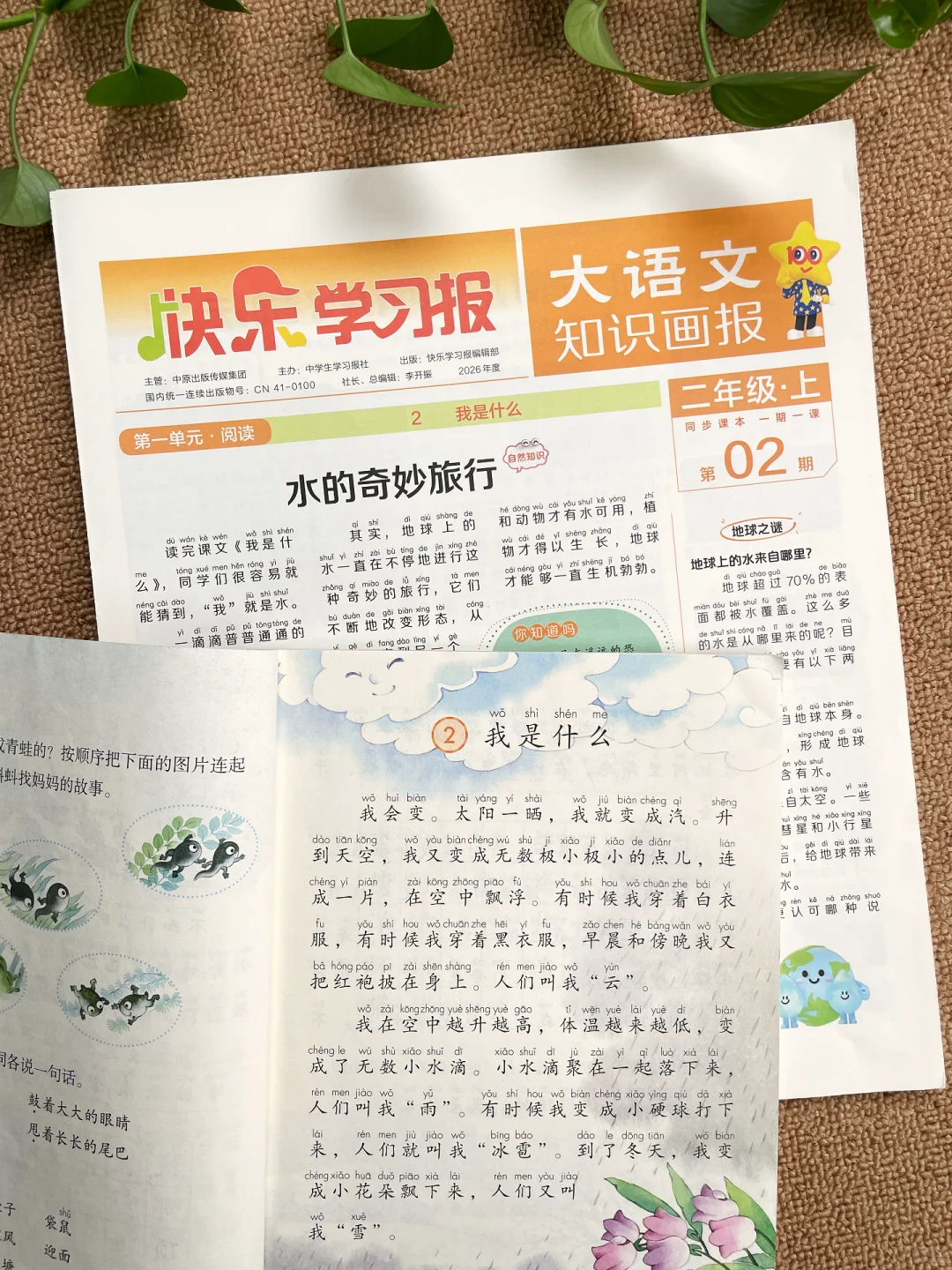 大语文知识画报，语文学习神器📖
