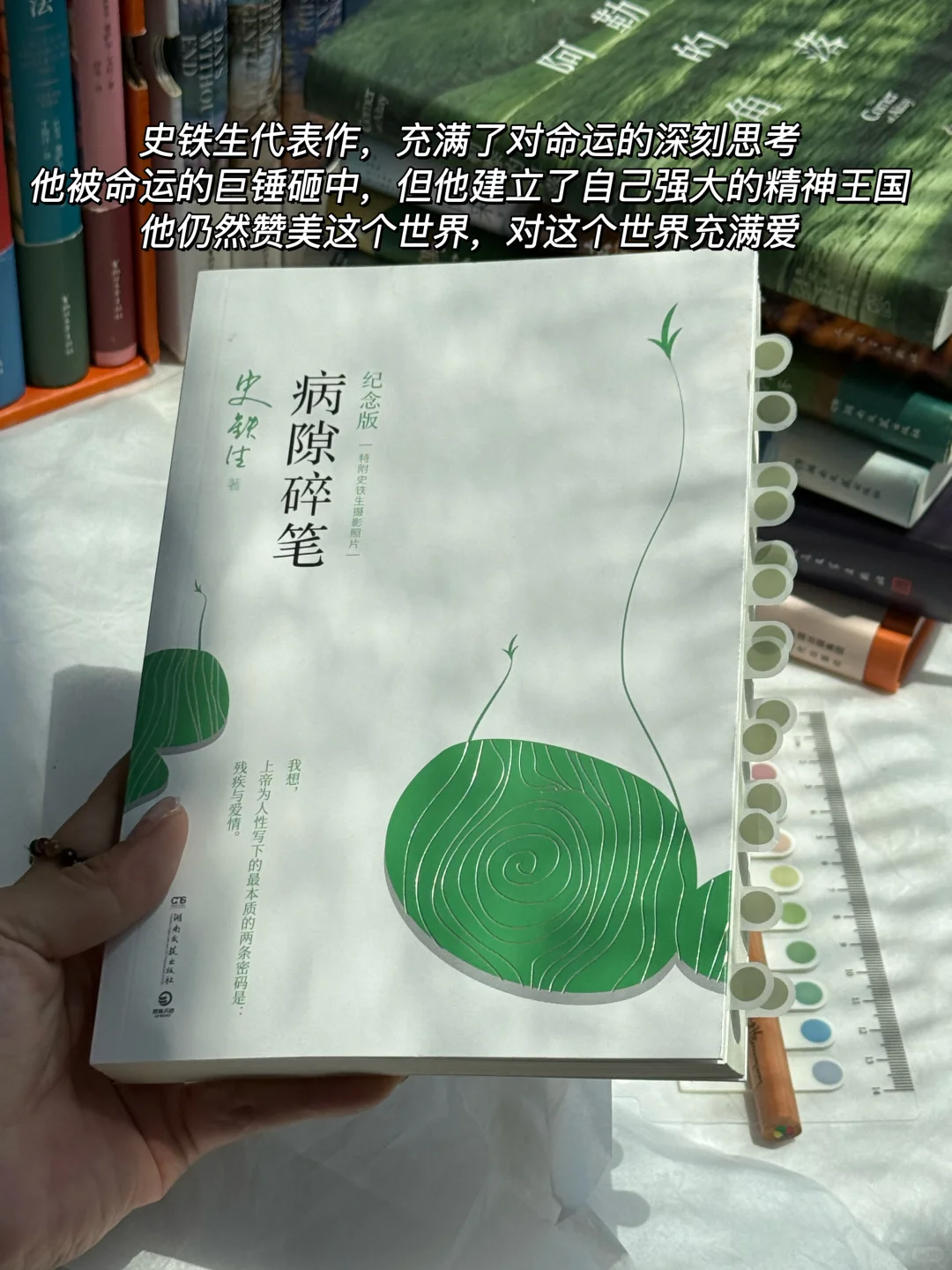 死磕这几本书，文笔可以脱胎换骨！🍠双11