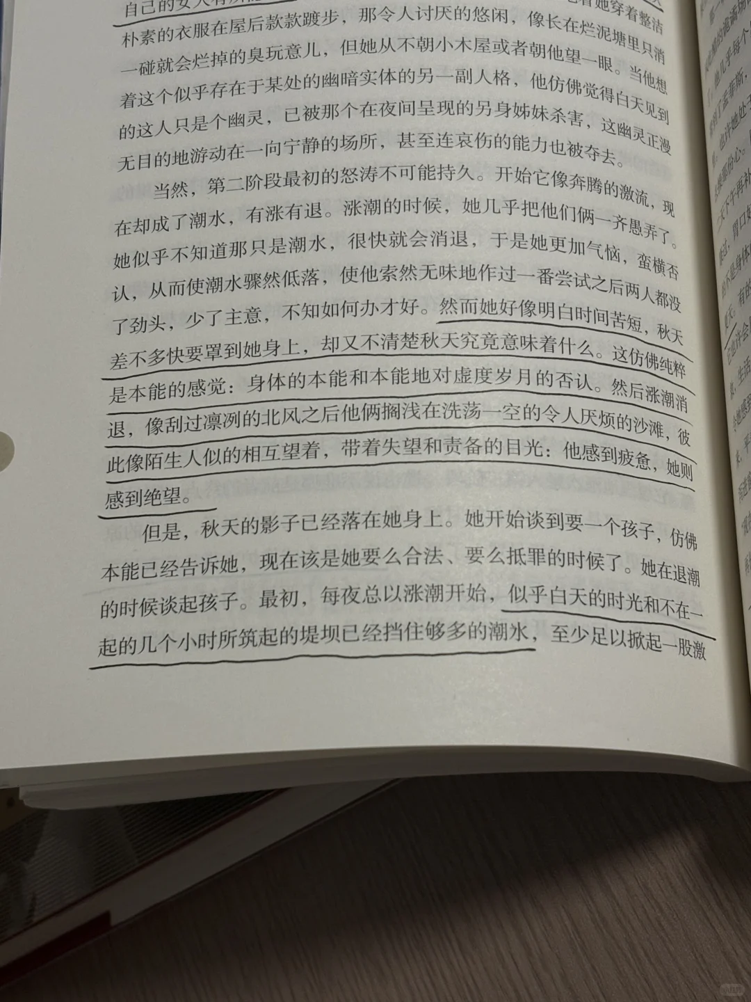 一旦阅读福克纳就会进入疯狂的心流模式