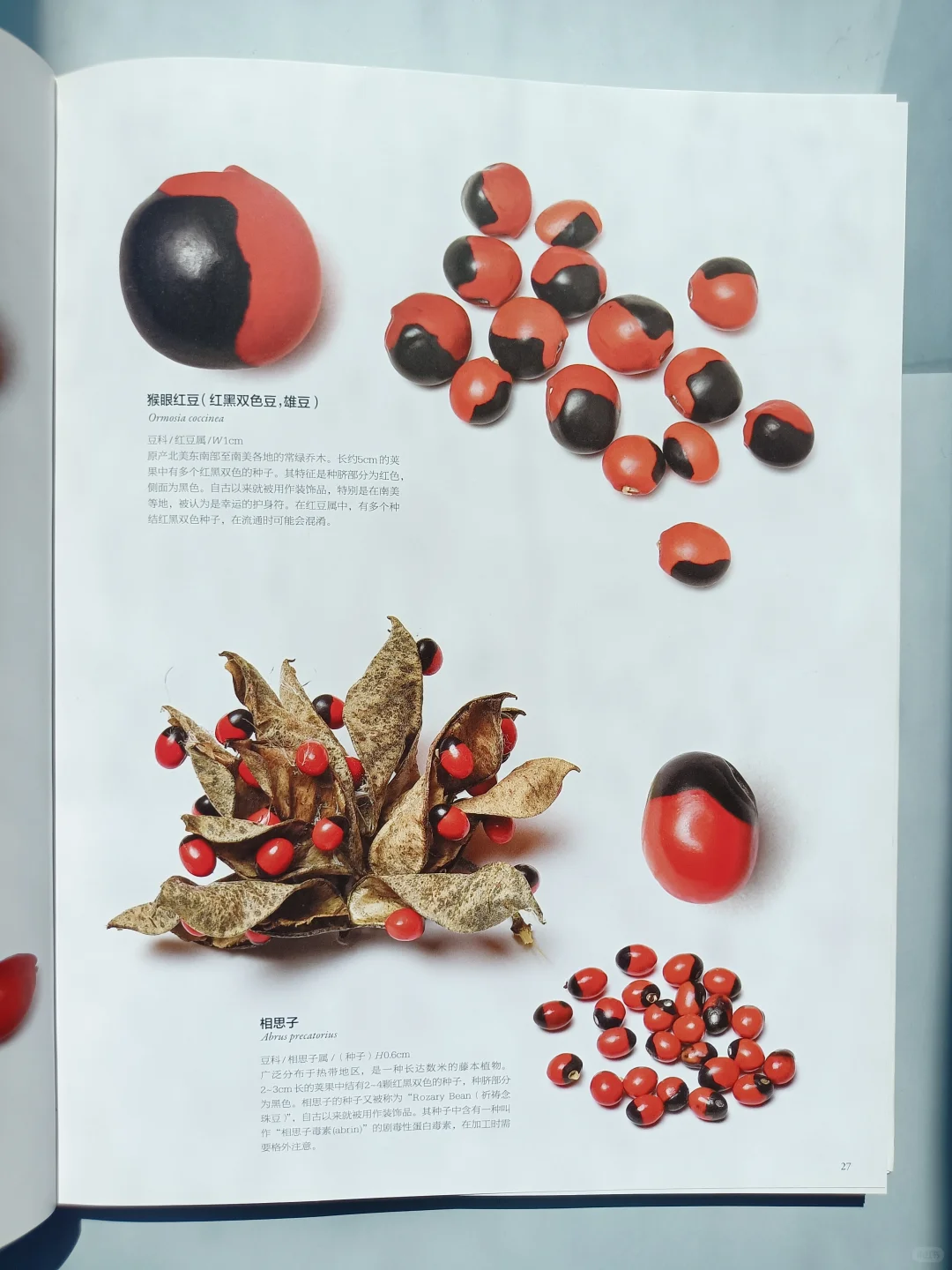 一本震撼人心的视觉图鉴✨✨
