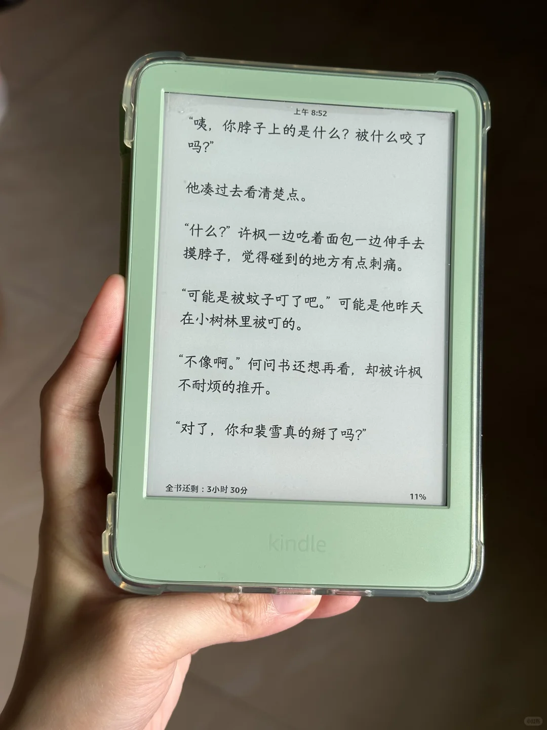 谁来收了我的kindle小绿