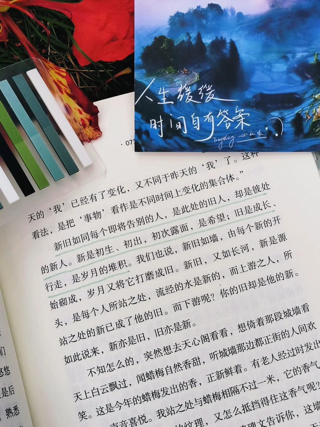 人生是旷野，“去爱，去生活，去受伤”