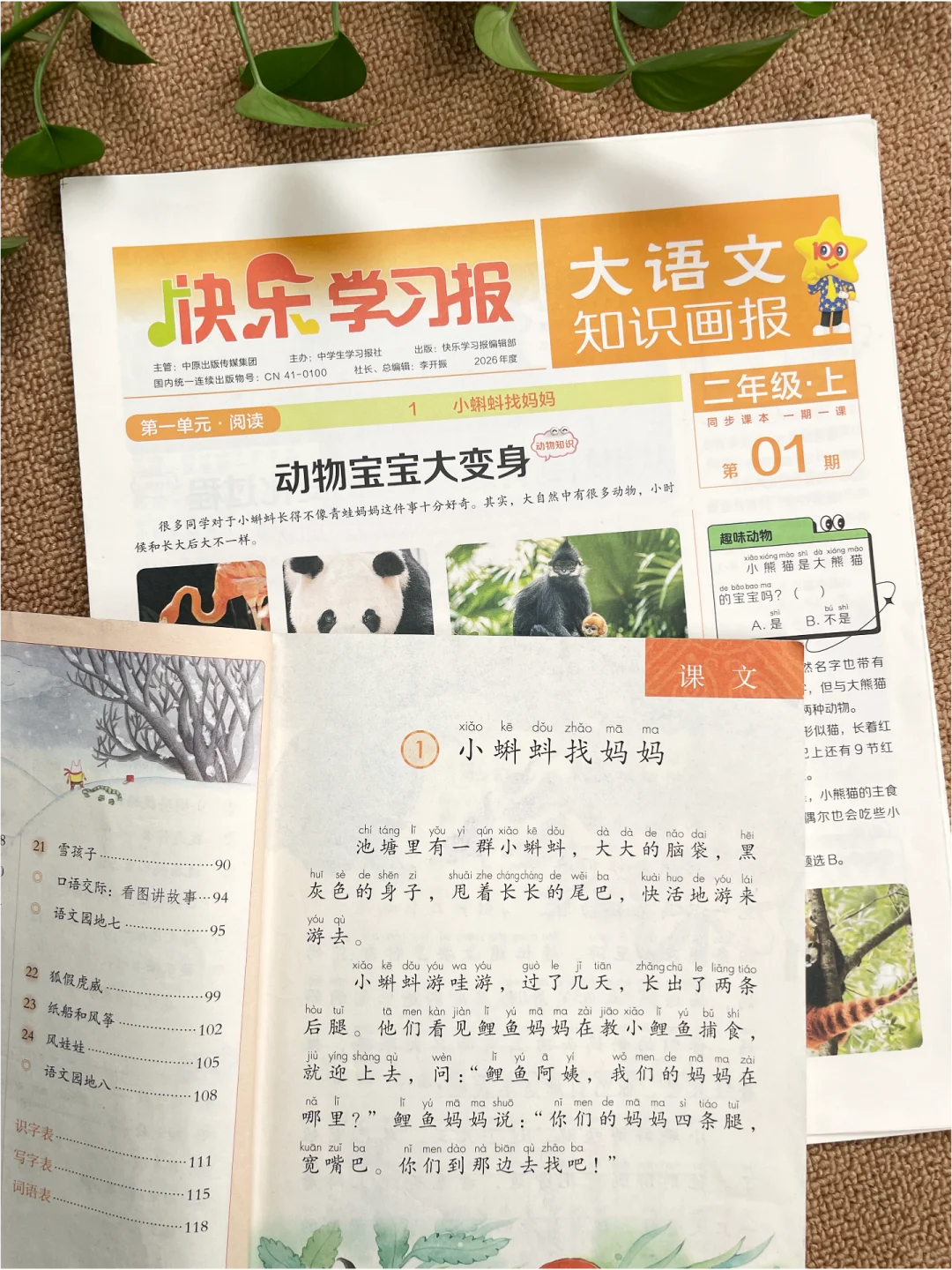 大语文知识画报，语文学习神器📖