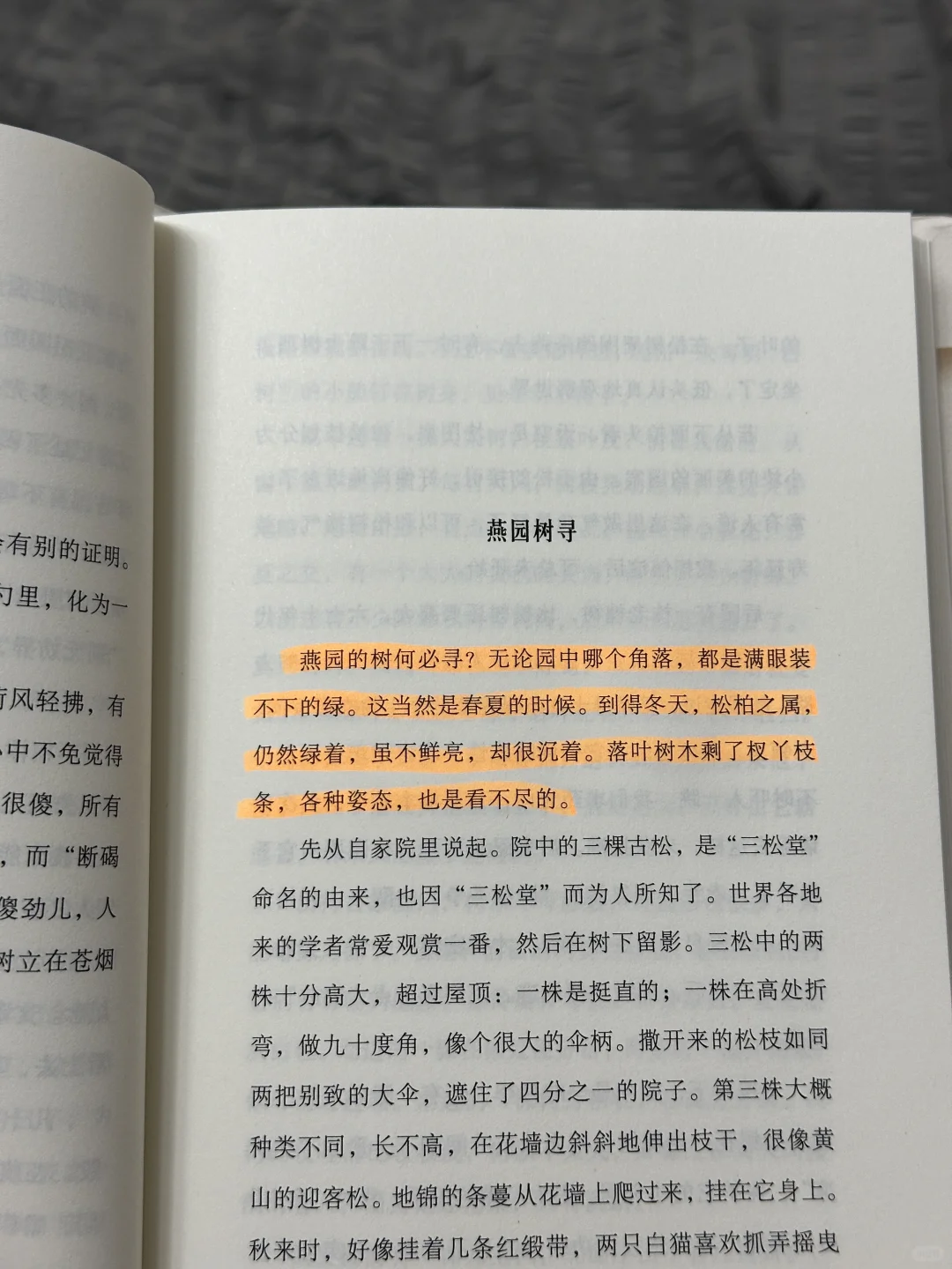 推荐一本新书（读完泪目的那种😭😭）
