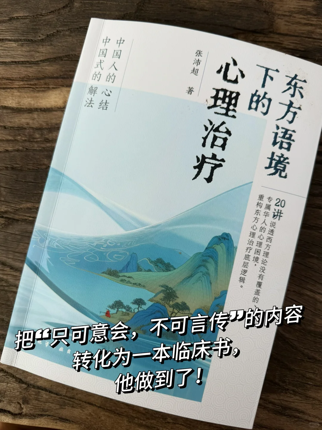 新书推荐｜可能并不适合新手村的咨询师
