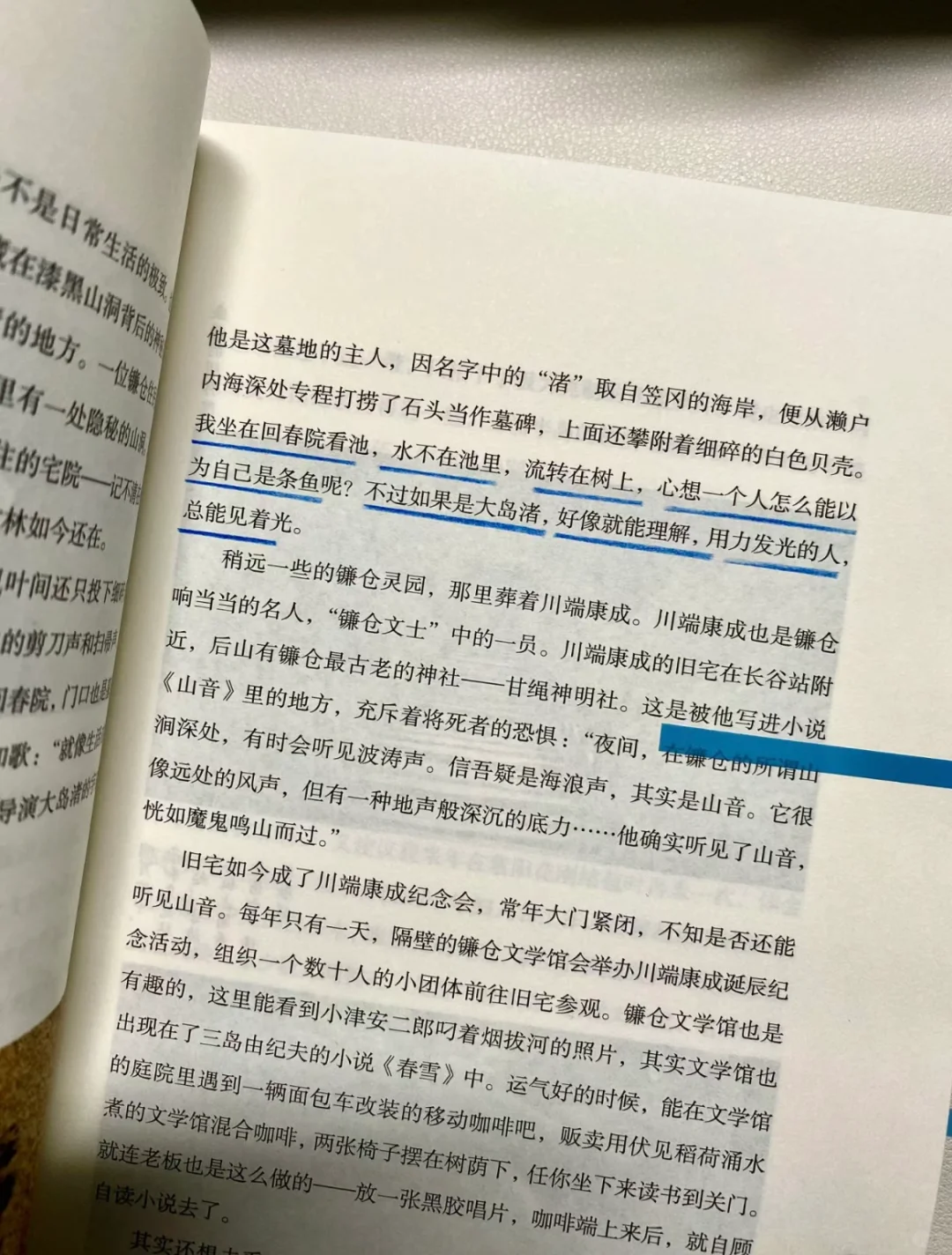 “自由也许是我不想拥有海，我想成为海”