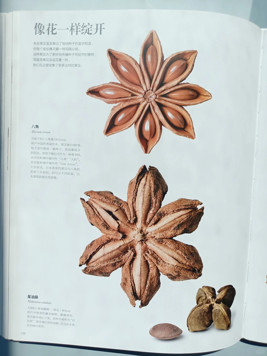 一本震撼人心的视觉图鉴✨✨