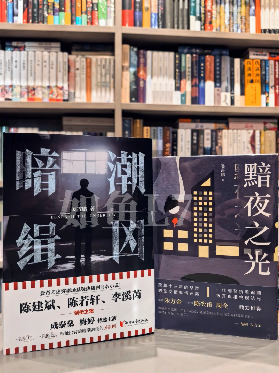 2025年8~9月鱼叔新购国产悬疑新书11册