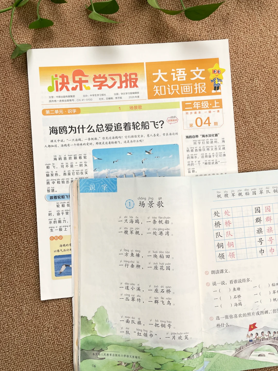 大语文知识画报，语文学习神器📖