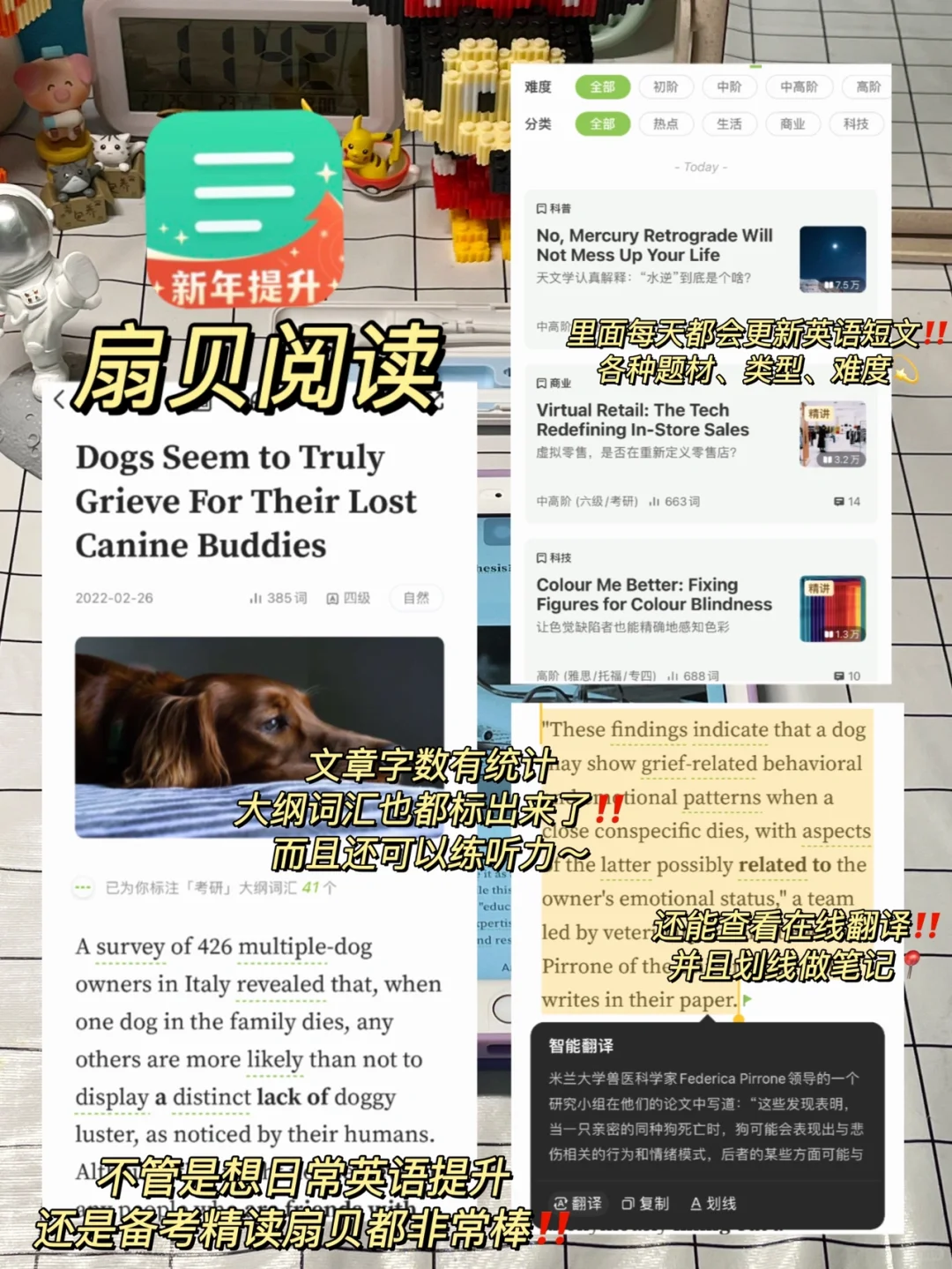 🔥吹爆这八个学习频道㊙️学霸都在用偷偷用‼️