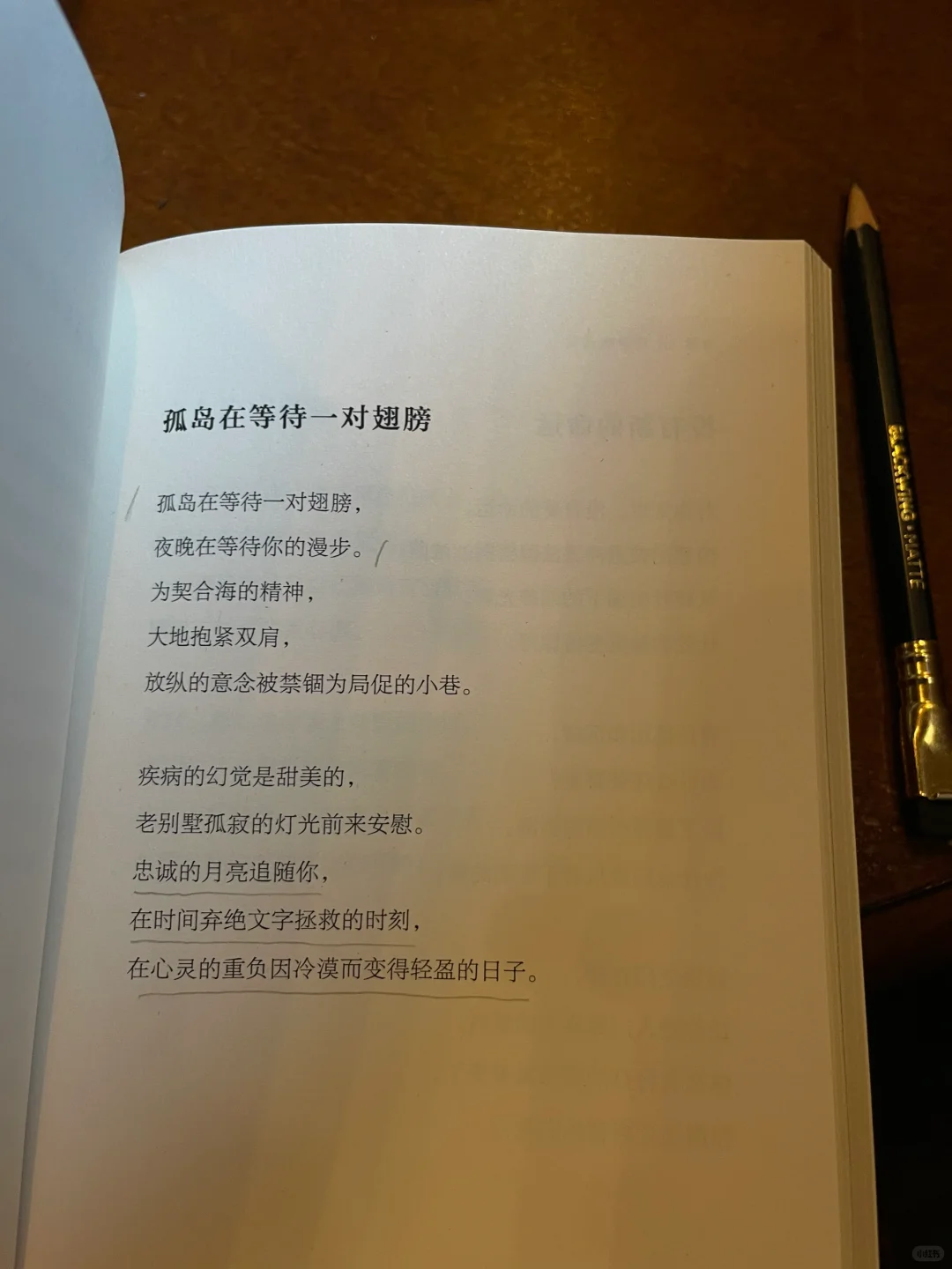 独处时间｜当书籍的深度契合着咖啡的浓度