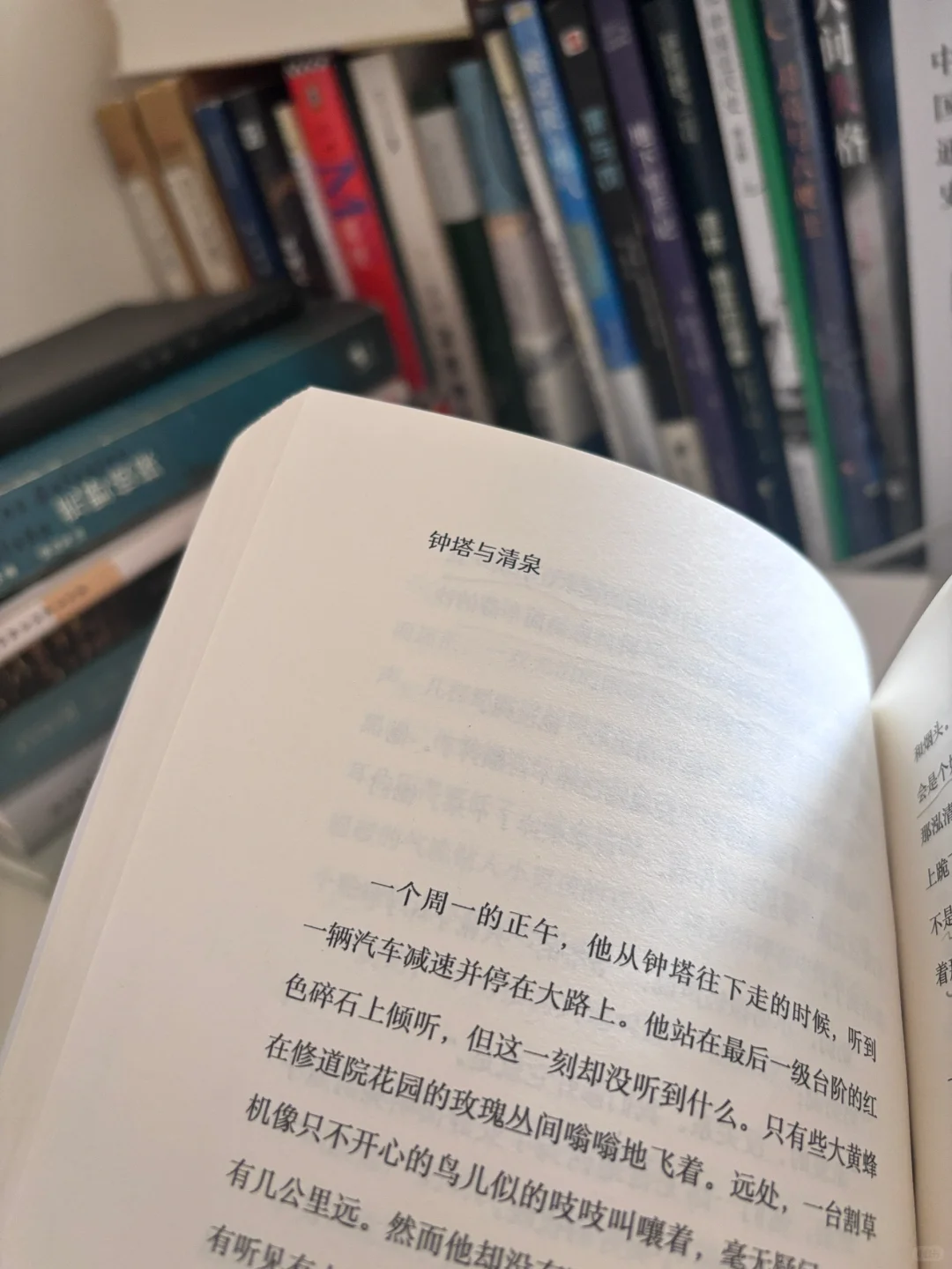周末，阅读，感受生活