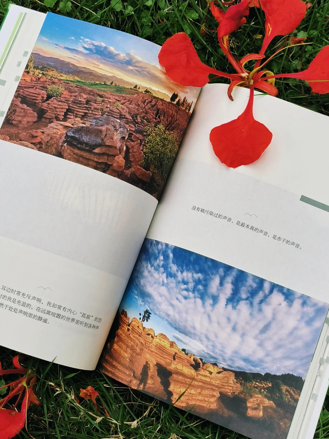 人生是旷野，“去爱，去生活，去受伤”