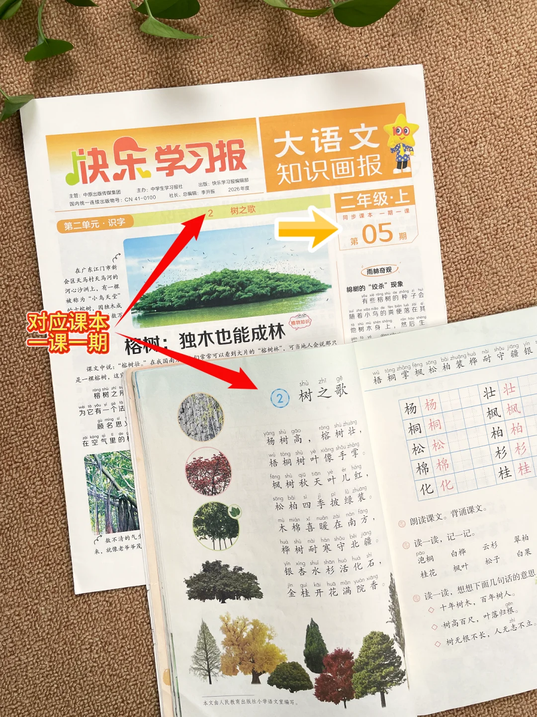 大语文知识画报，语文学习神器📖