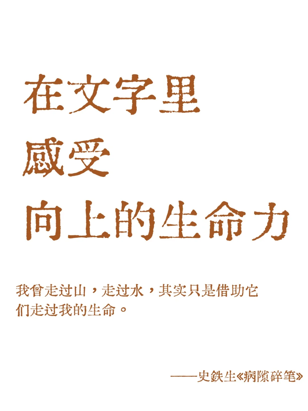 在文字里，感受向上的生命力