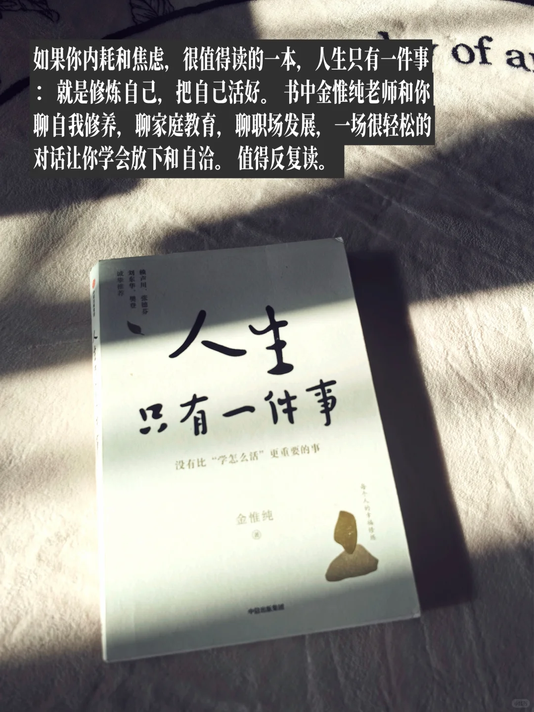 迟到的二月治愈系书单|二月读了这8本