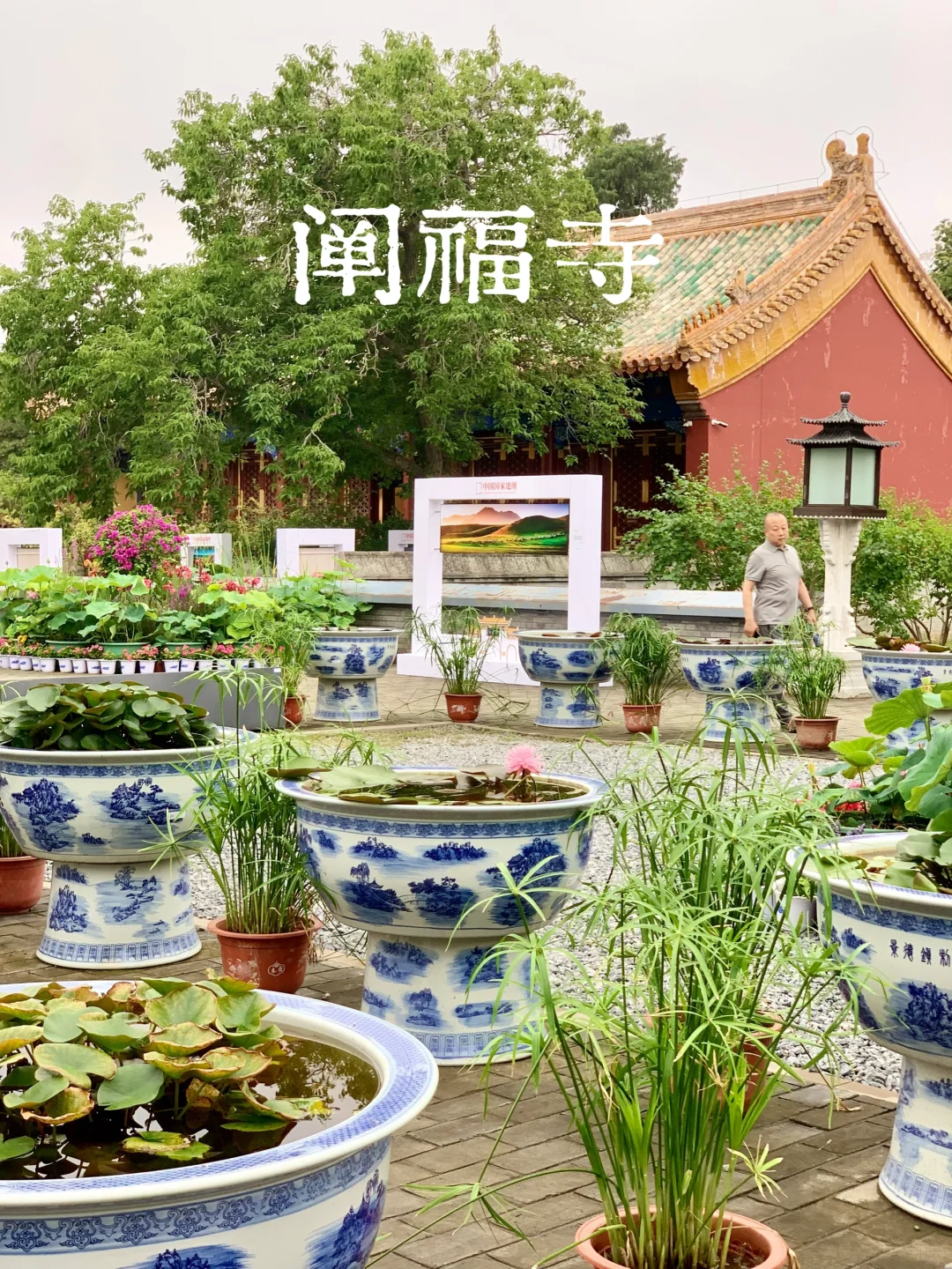 北海公园攻略｜8处秘境，看这1篇就够了