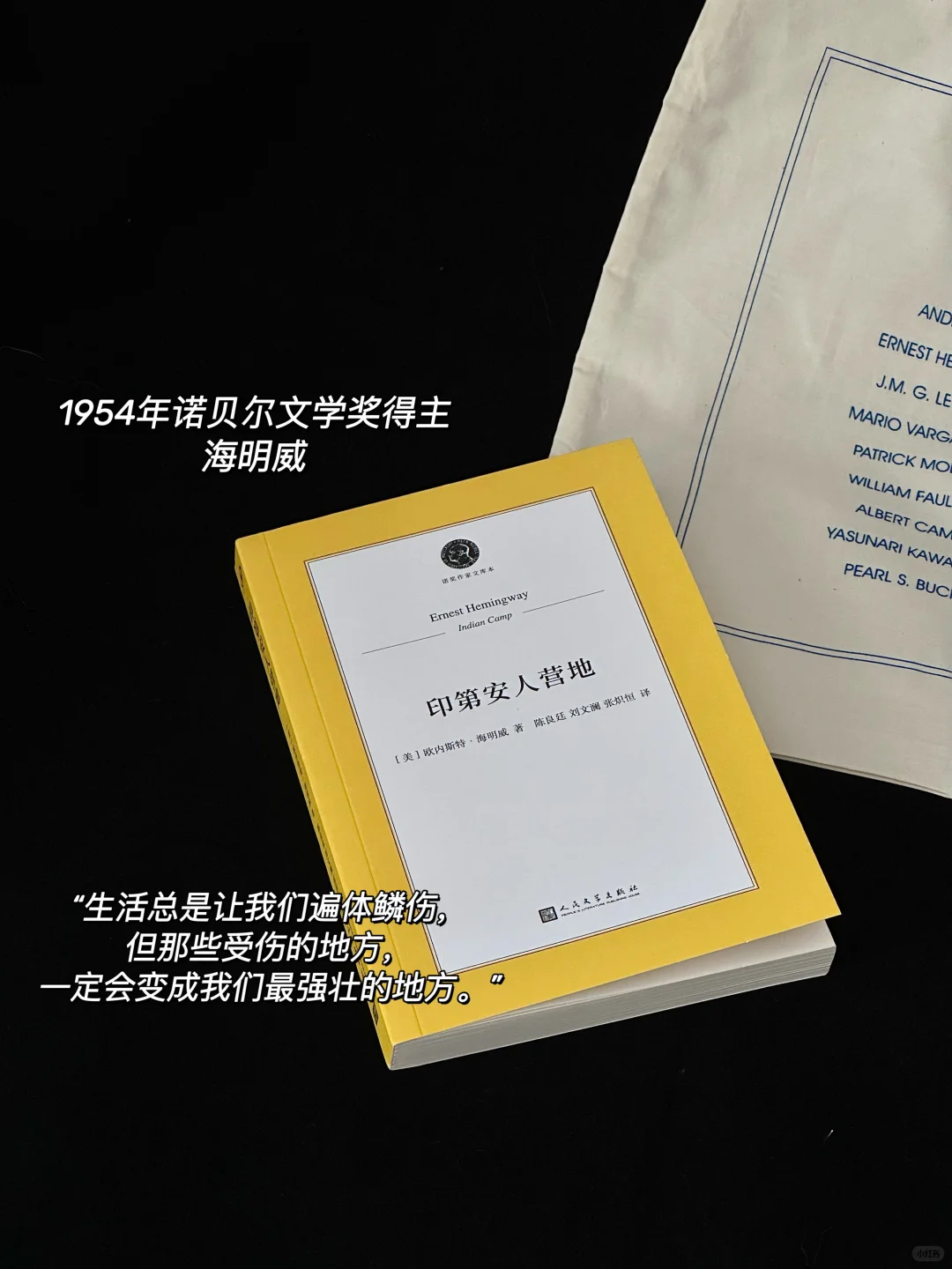 一套诺奖文库本的快乐