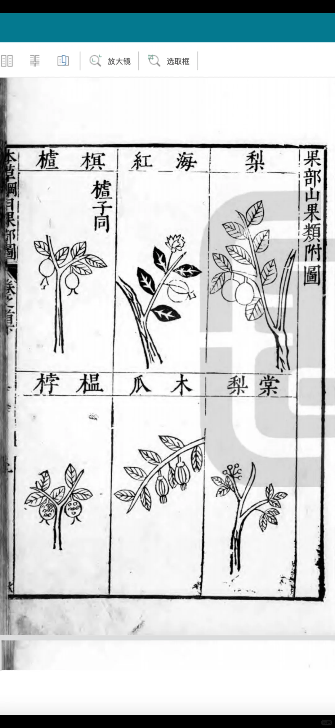 趁现在知道的人少，赶紧看！