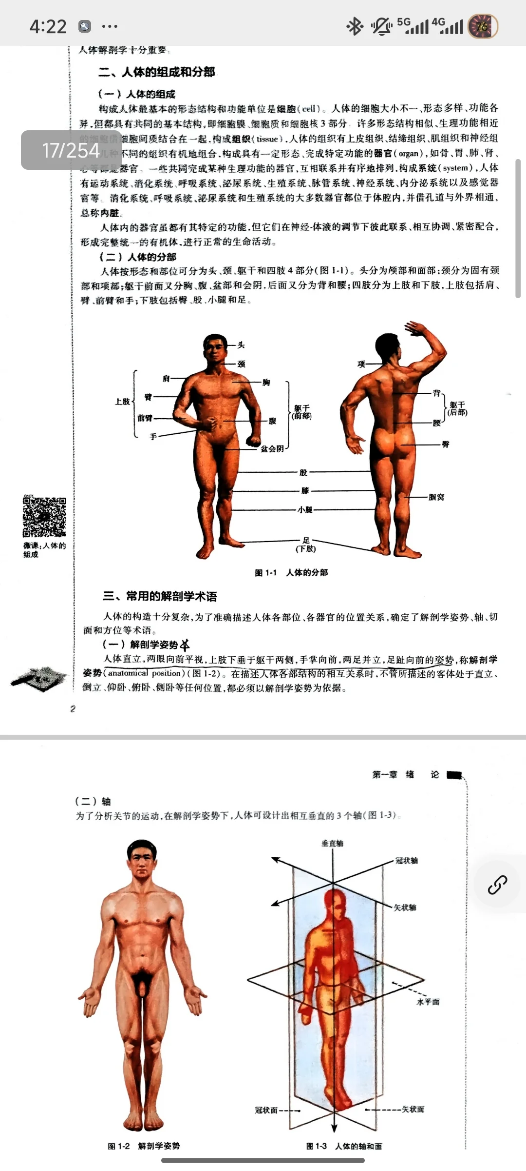 人体解剖学