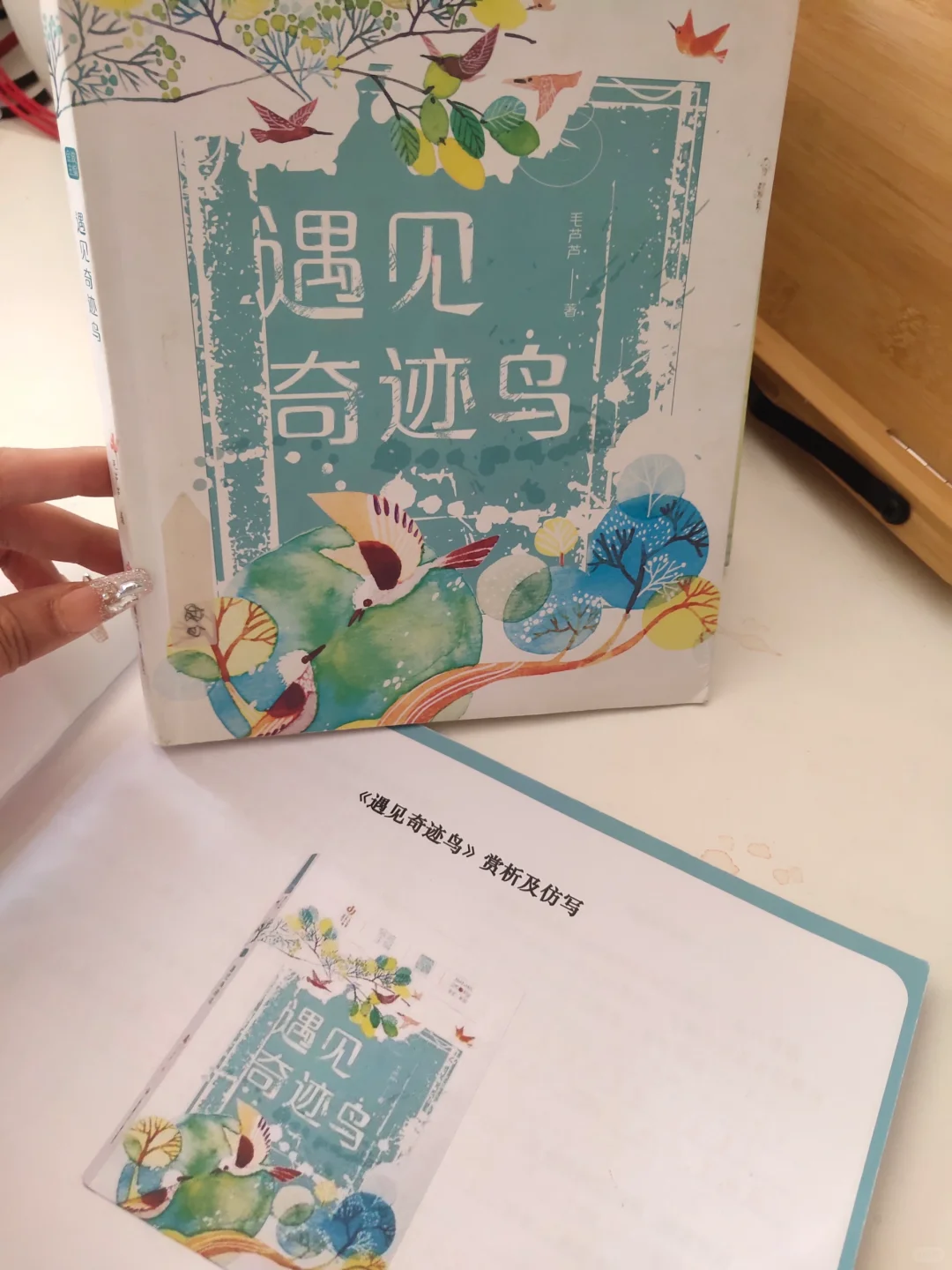 四五年级寒假高质量书单，句句可仿写!